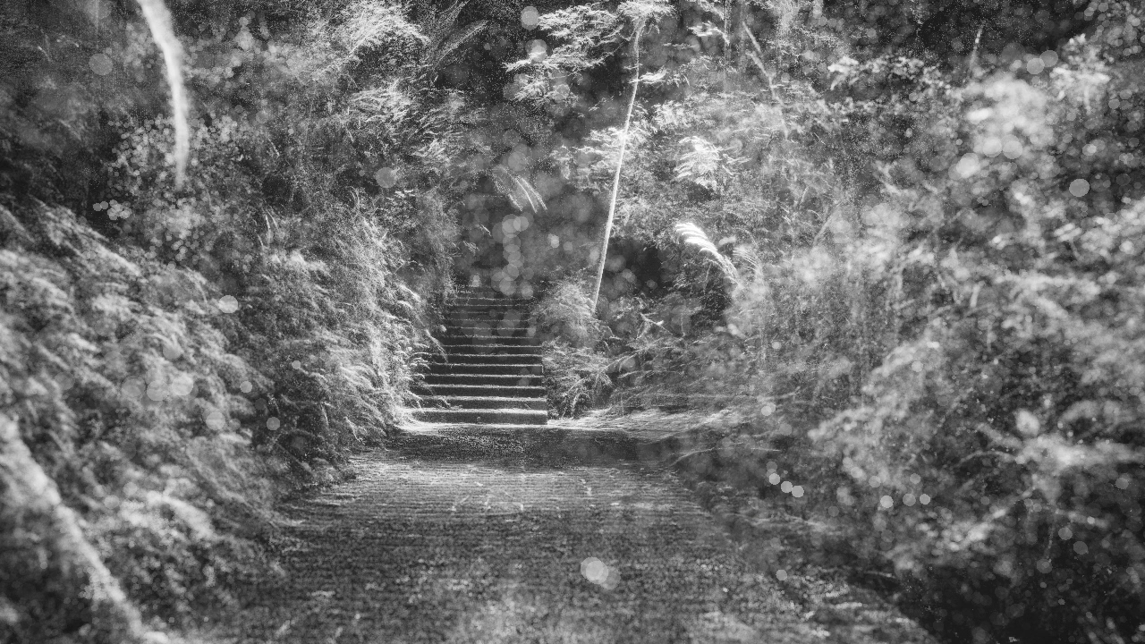 Garden as Cloud - PRODUCER