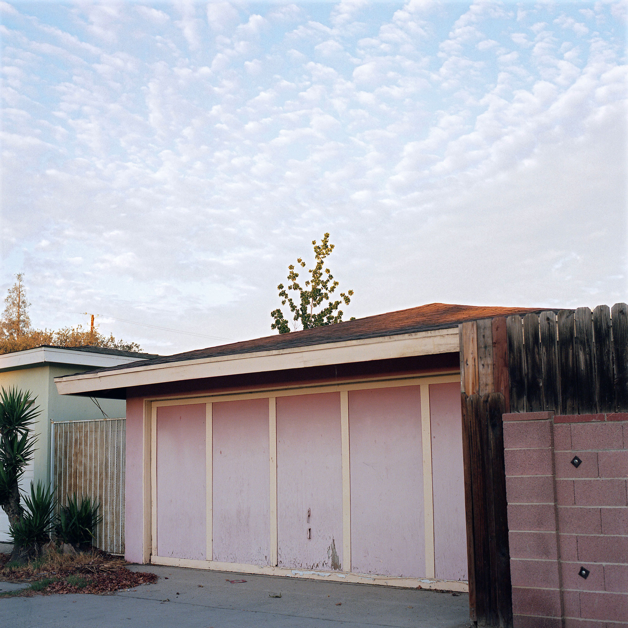 Peeking, Los Angeles, CA, 2015