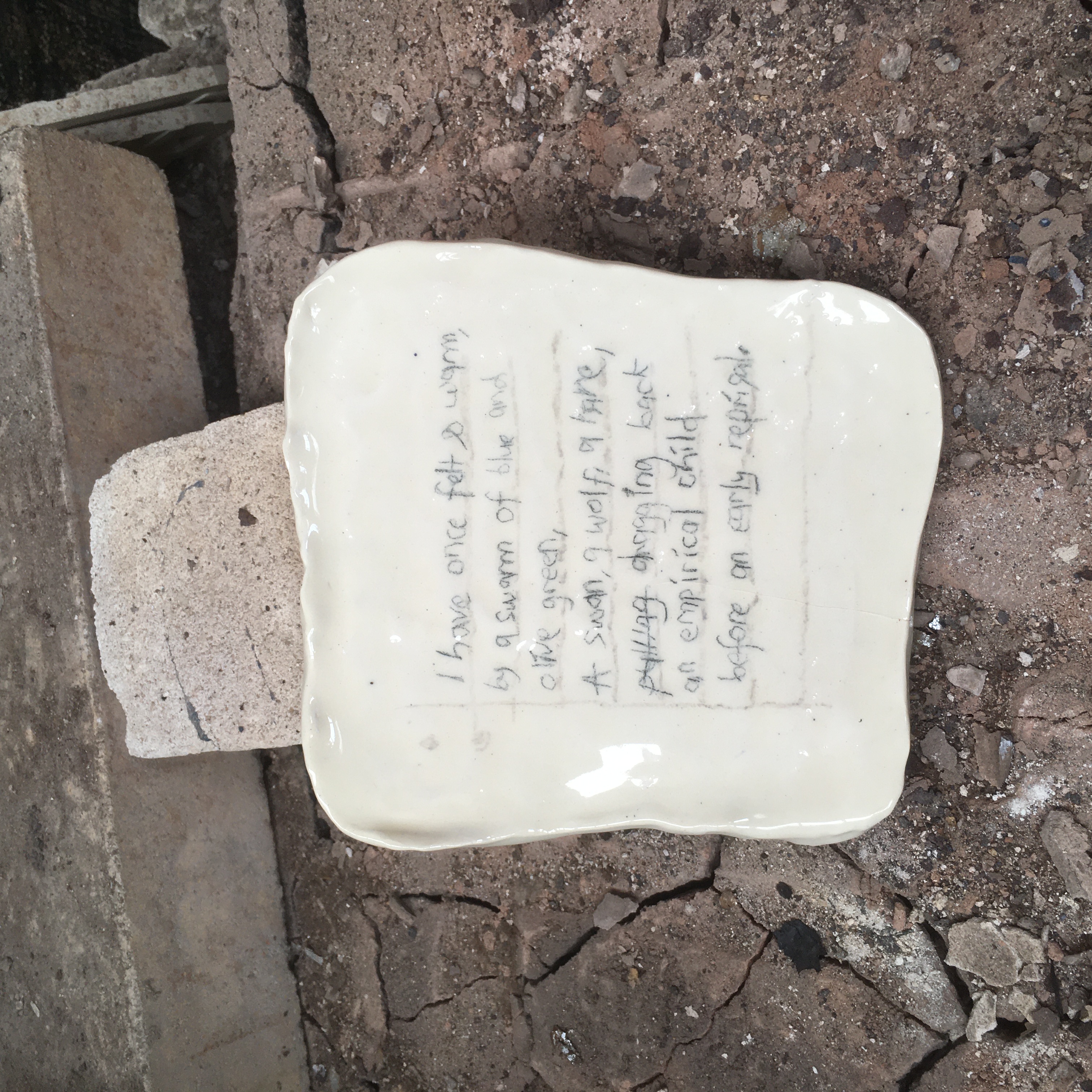"Swallowing A Swan's Feet" Earthenware Ceramic Plate