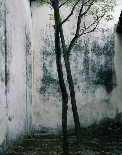 Hélène Binet Humble Administrator's Garden (D), Suzhou Gardens 28 2018