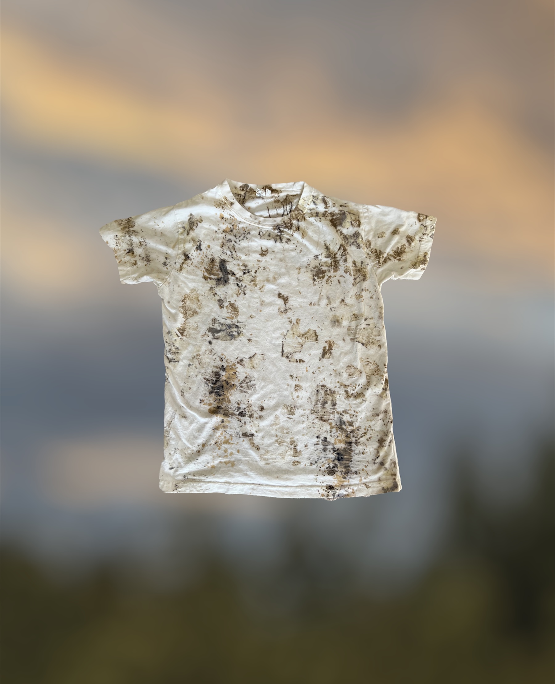 Rose on cotton. 2022.