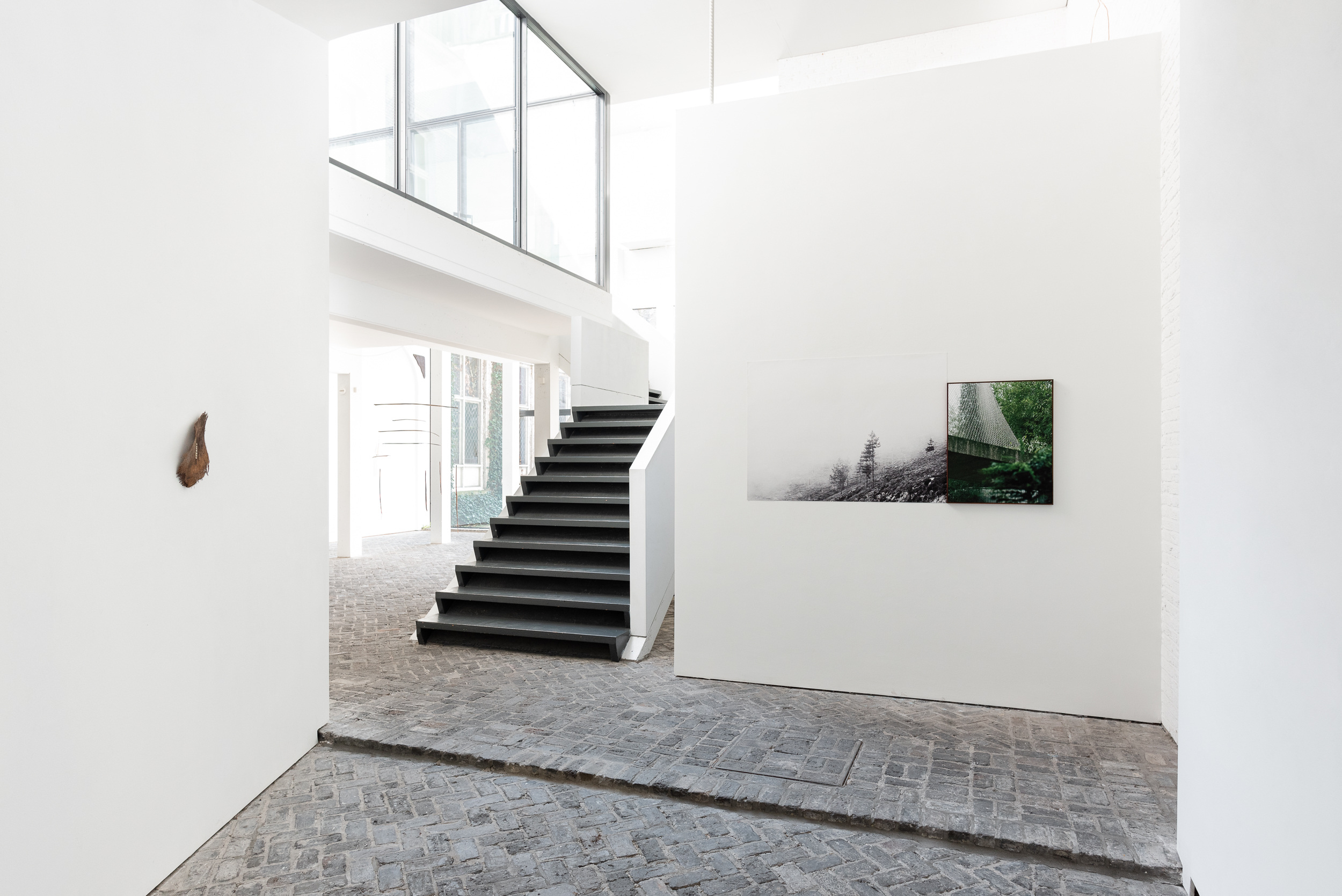 RUSTLING EARTH, valerie_traan gallery