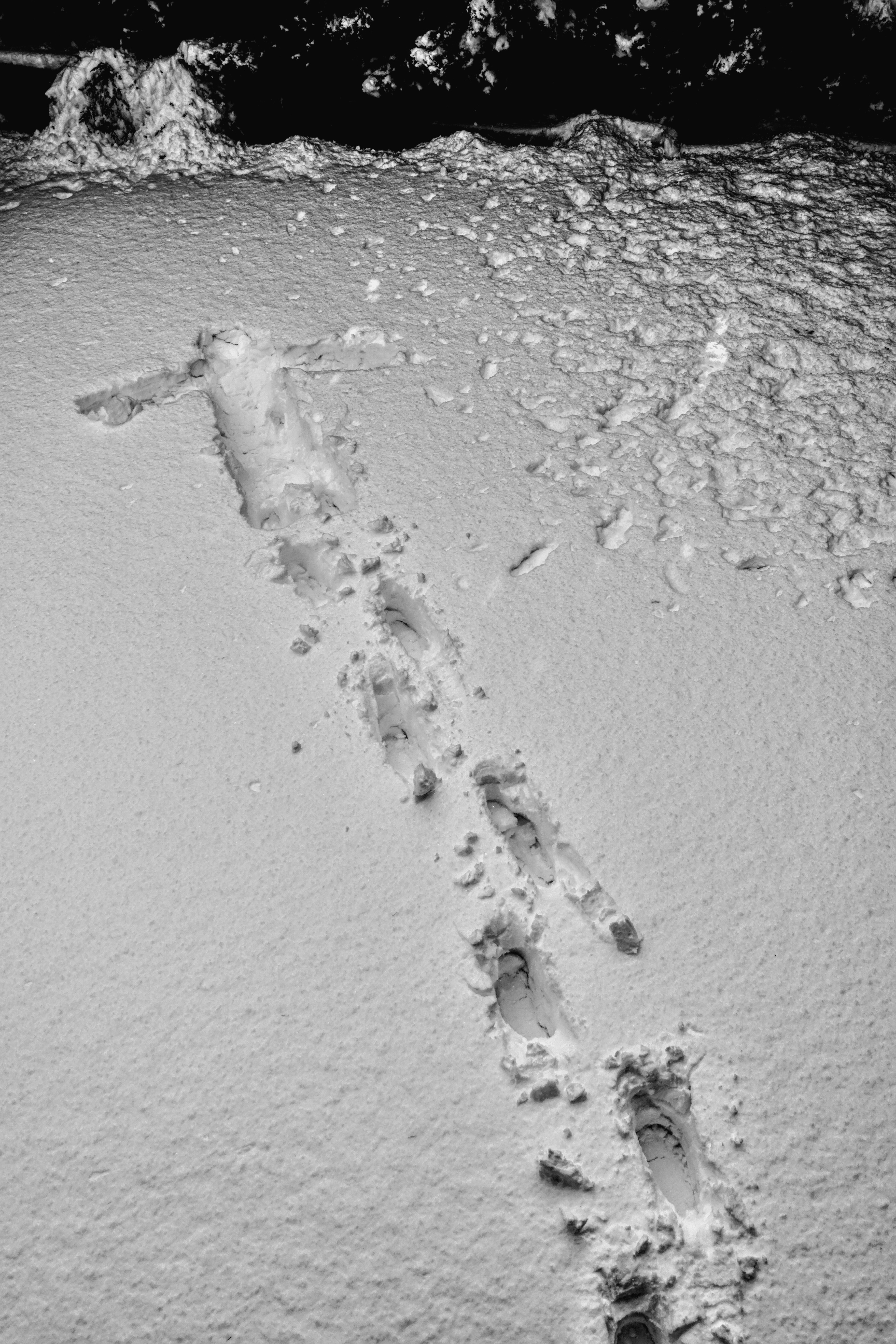 Superman landed in my backyard and walked in my house