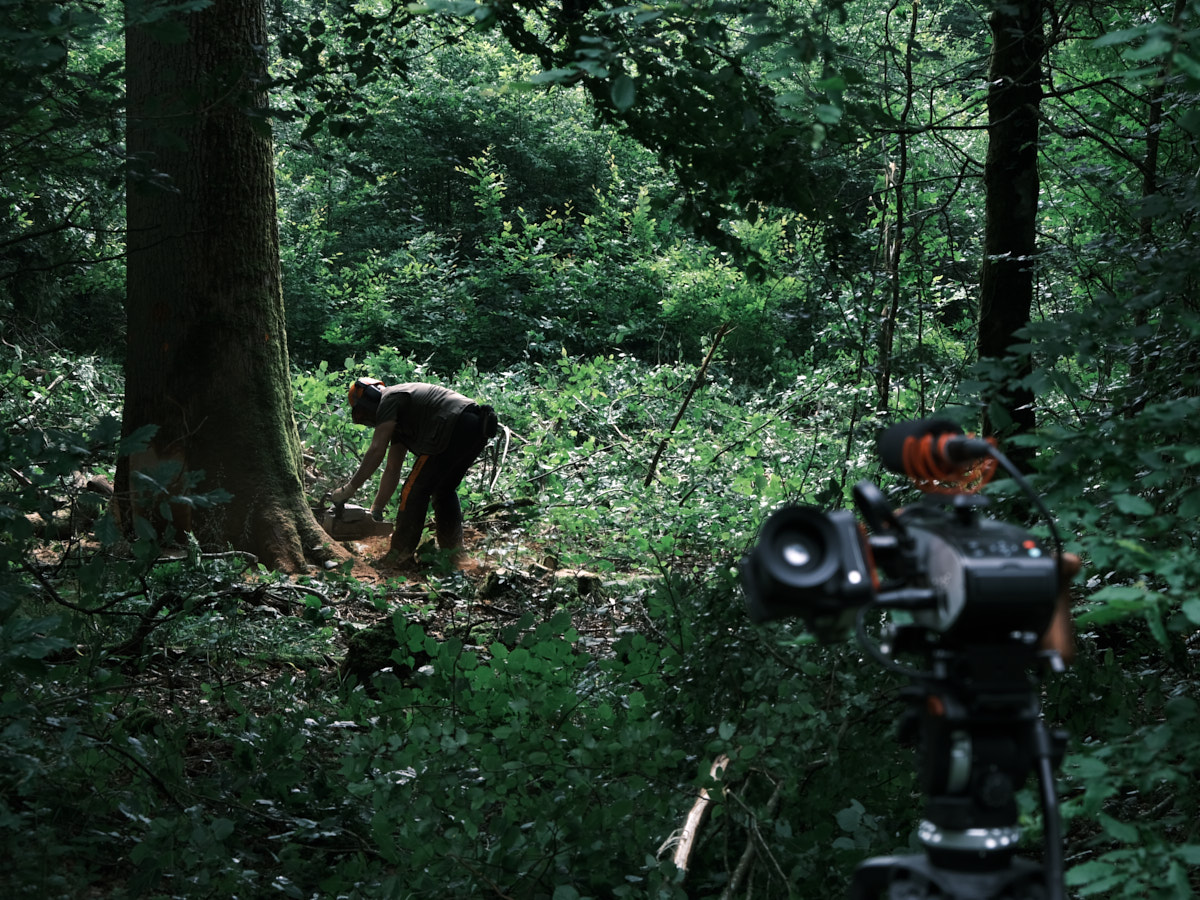 06.2021 Visite et tournage en forêt, Dominique Matéos, exploitant forestier, et Bertrand Douine, garde forestier de l'ONF, accompagnés d'un bucheron et d'un débardeur, nous racontent leur métier