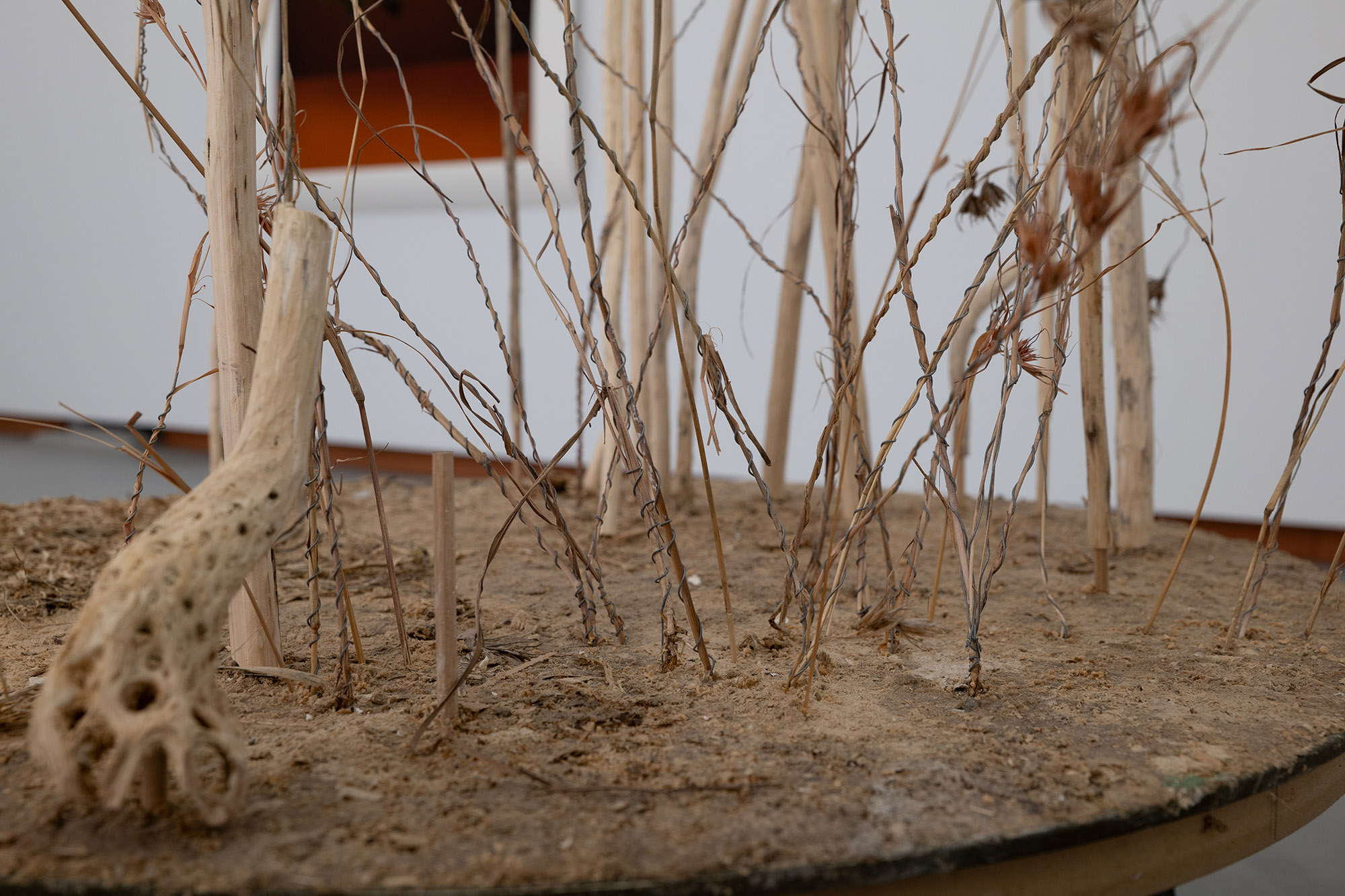 ISADORA VAUGHAN less than one percent of original grasslands remain [detail], 2023  steel, copper, epoxie, 1260 x 720 x 930 mm, Courtesy of Station Gallery, Sydney & Melbourne