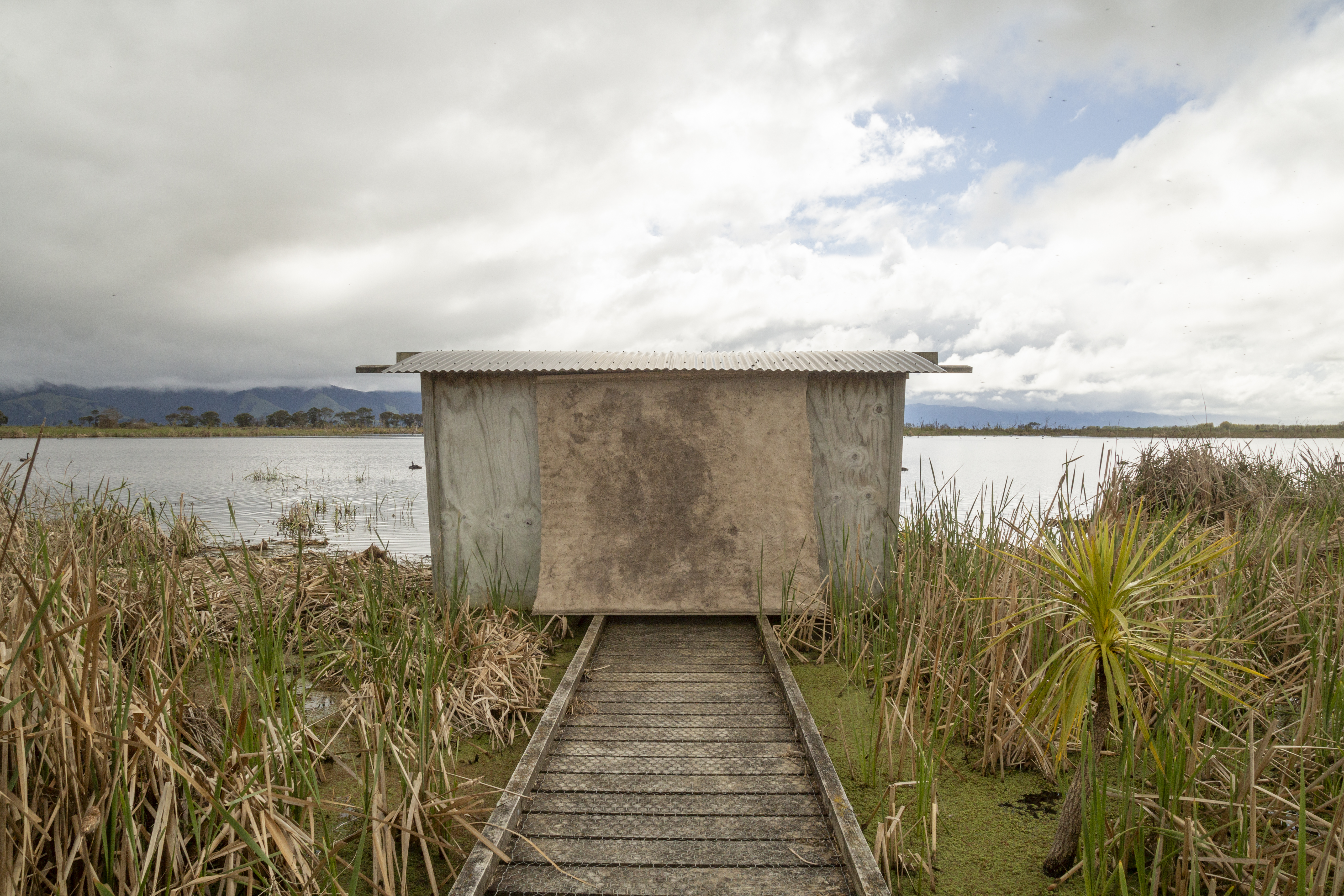 traces left behind and imprints silently borne installed at Boggy Pond, Wairarapa Moana