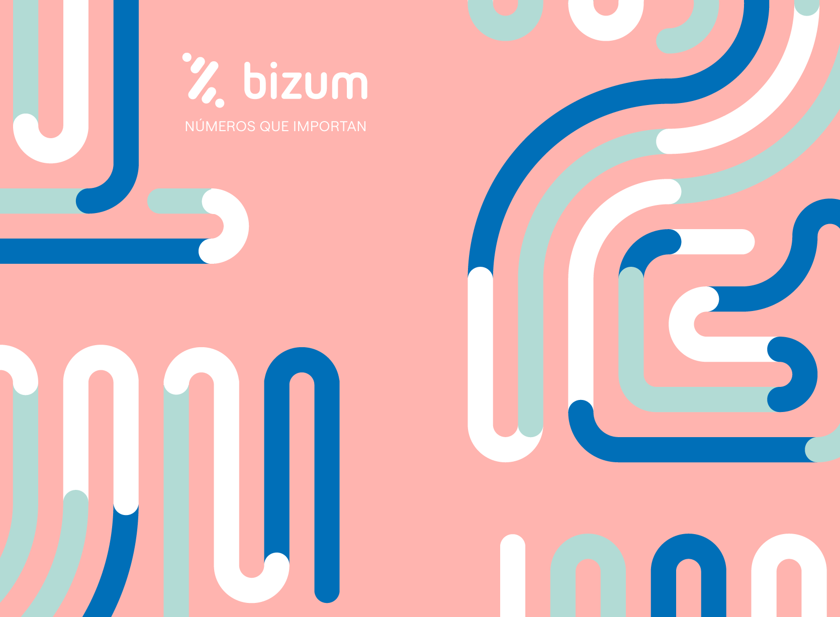 BIZUM 'Números que importan'