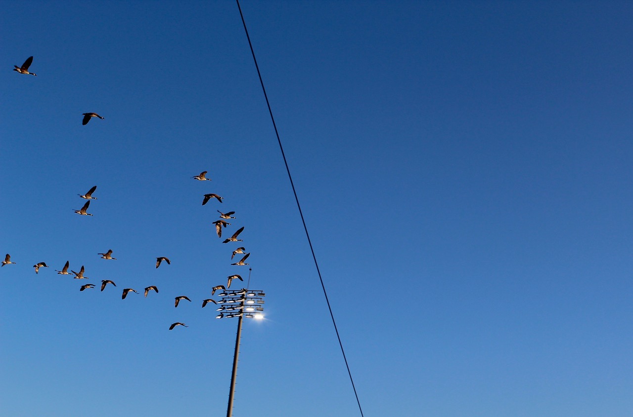 Daniel, S.T.R.O.N.G Youth workshop