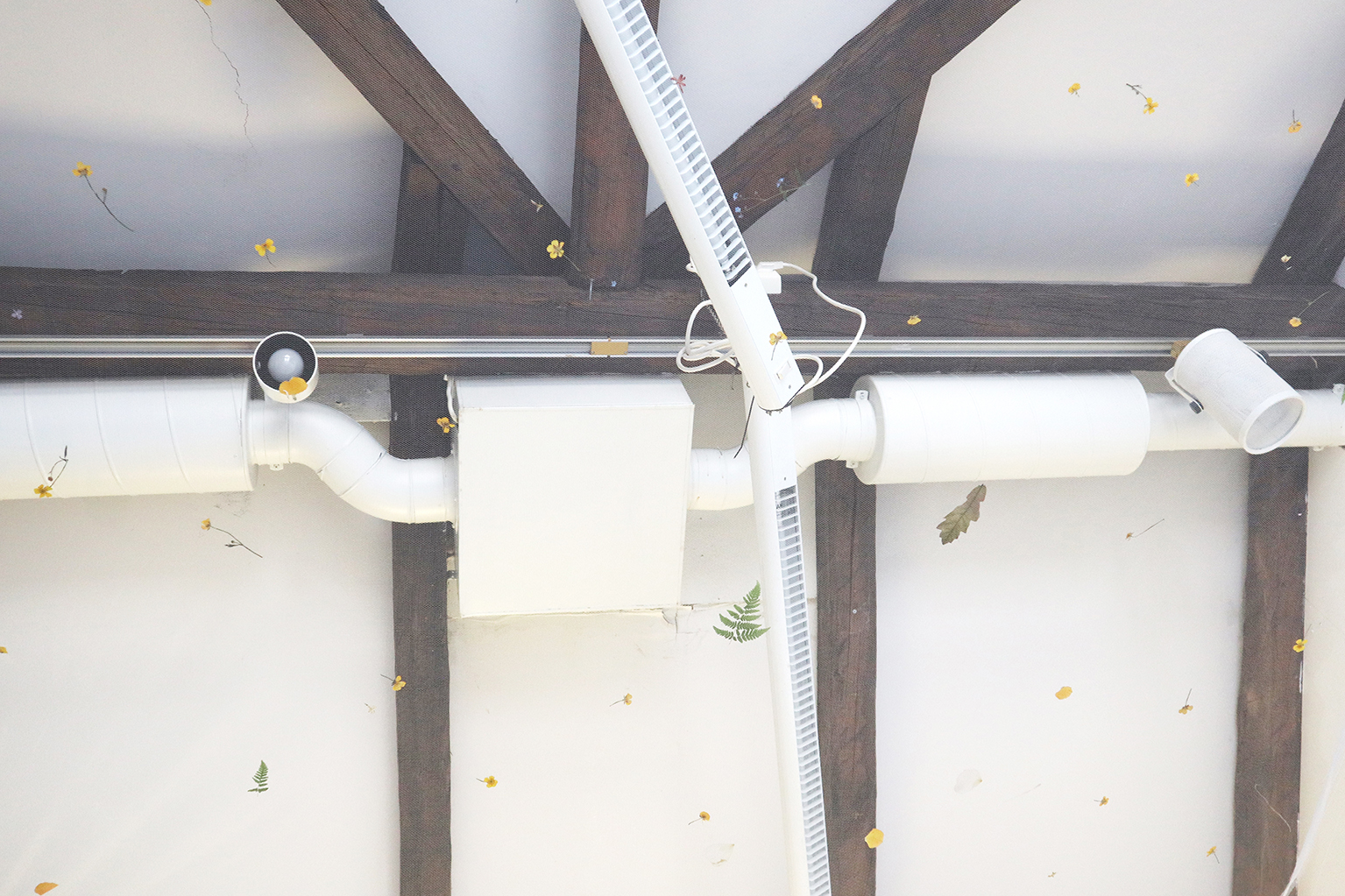 Night Garden (dried flowers, mosquito net), Dennise Vaccarello, 2025.