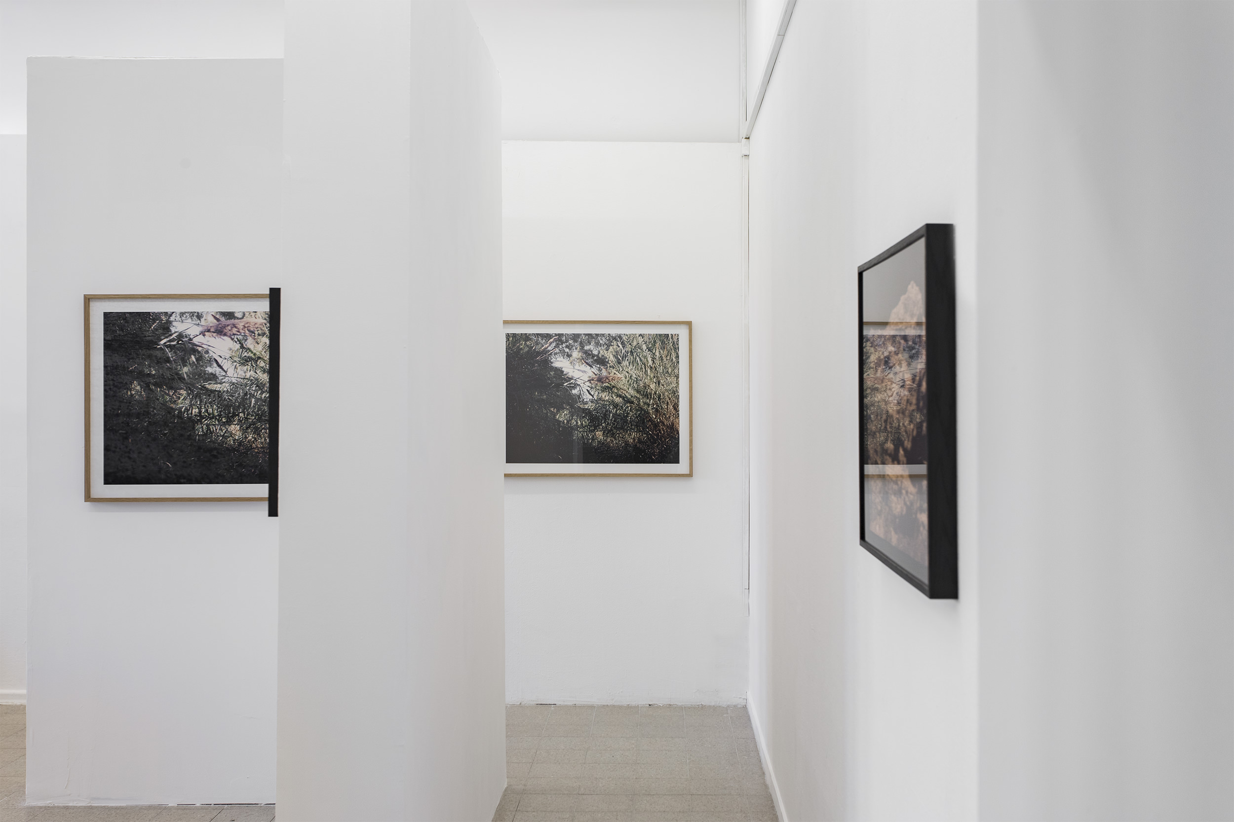 Installation view, Bezalel Academy, Jerusalem, 2017