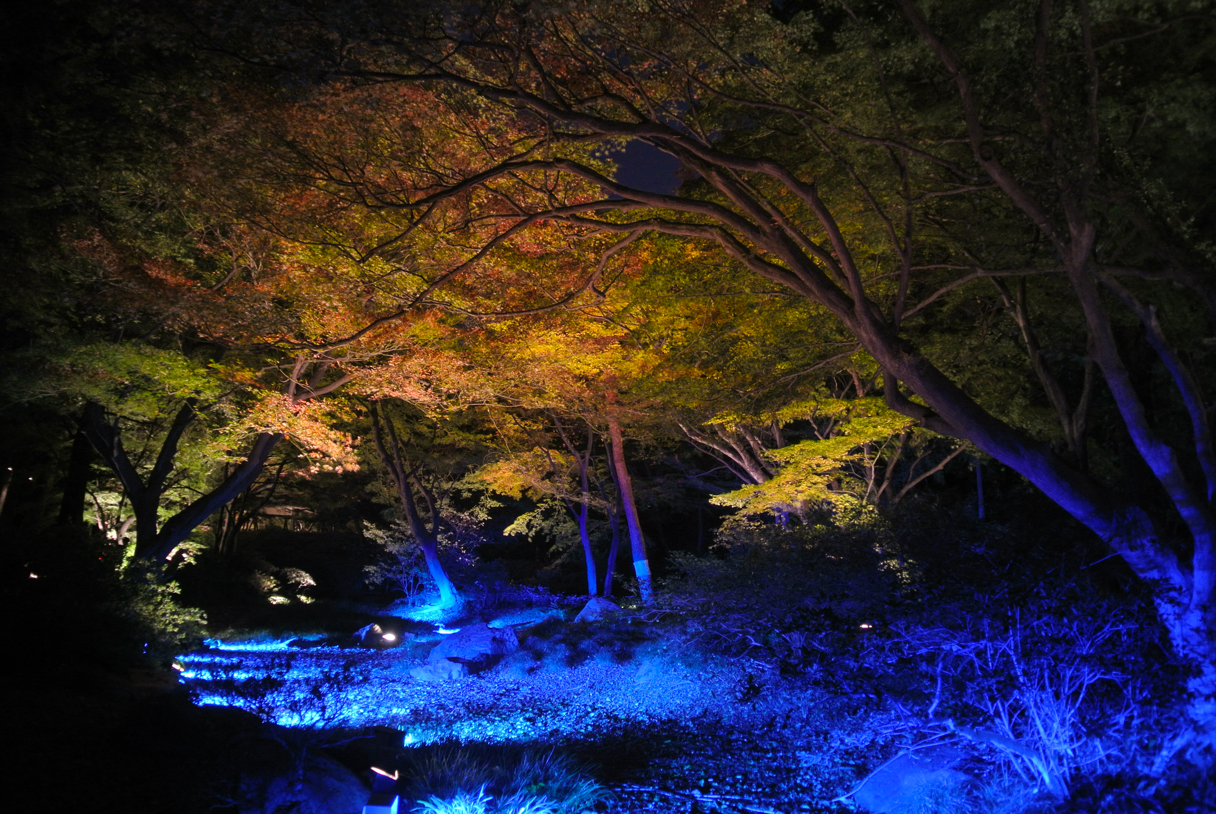 Image by Sarah Sutter via flickr under CC