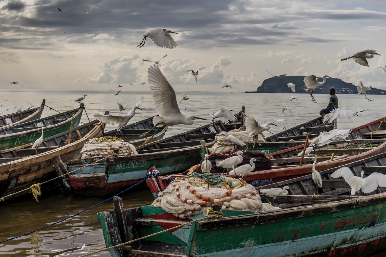 Bukoba © Frederic Noy