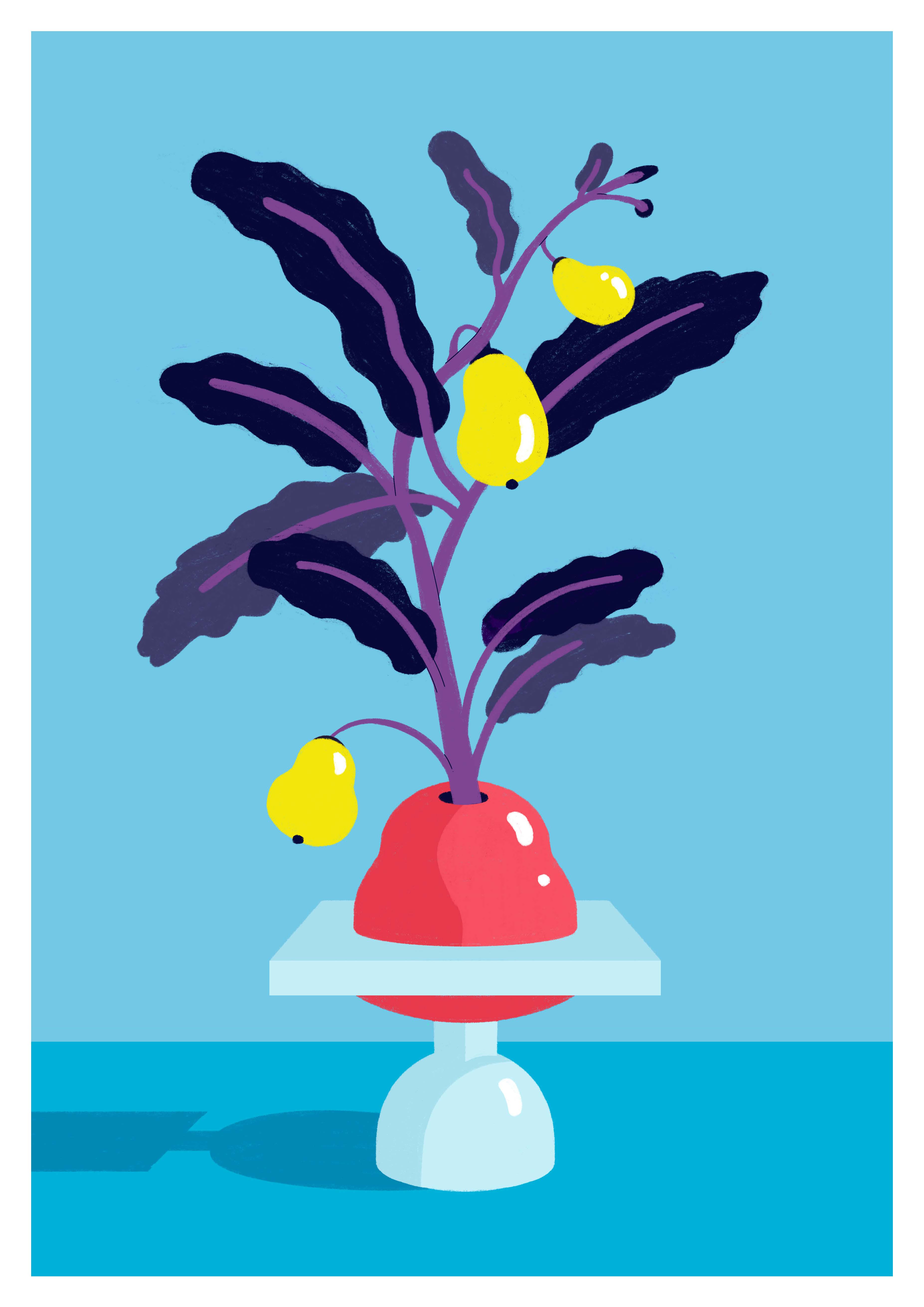 3 | Pears from Mars