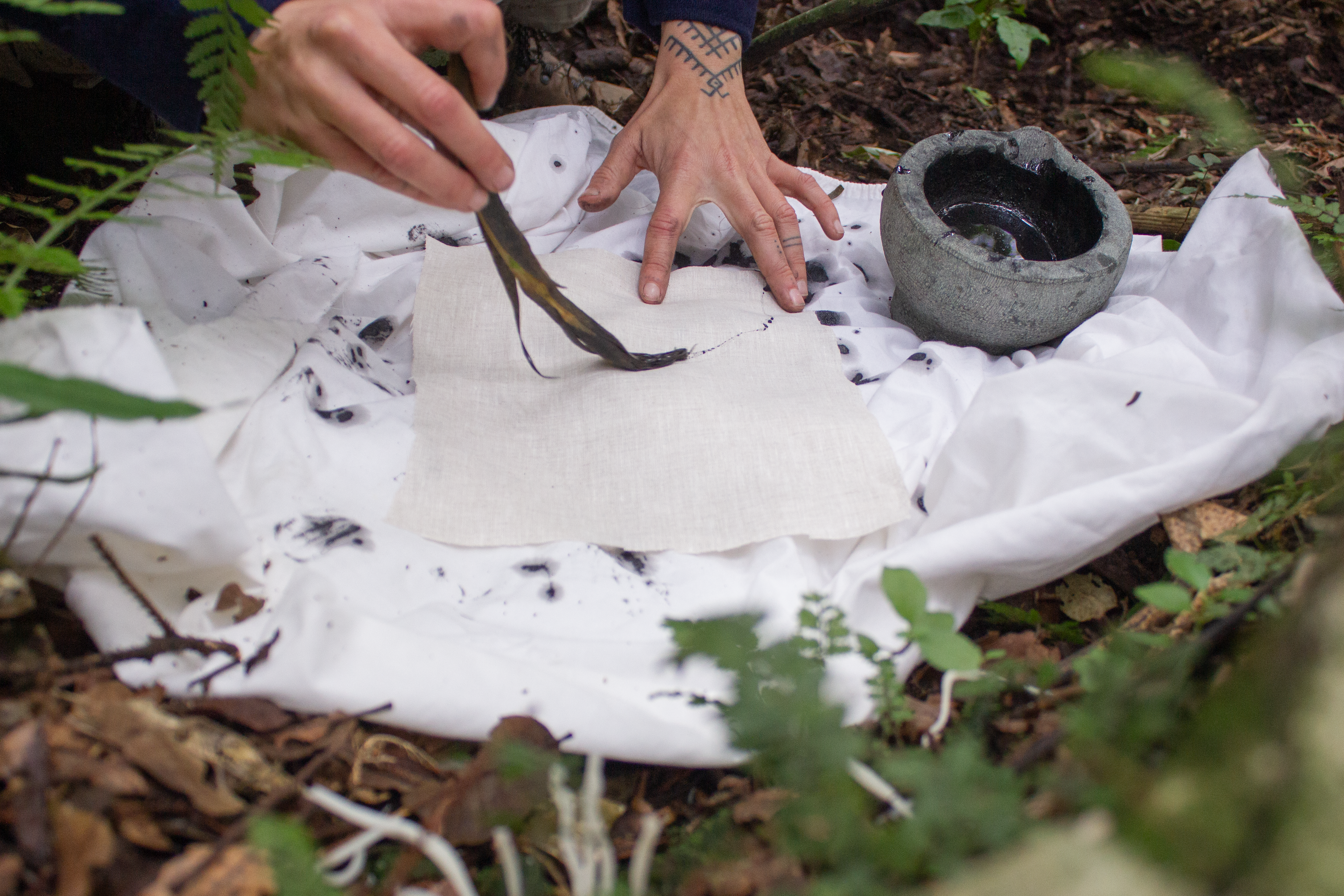 The making of 'You Lead the Way' in Ōtari-Wilton's Bush, Wellington, June 2025