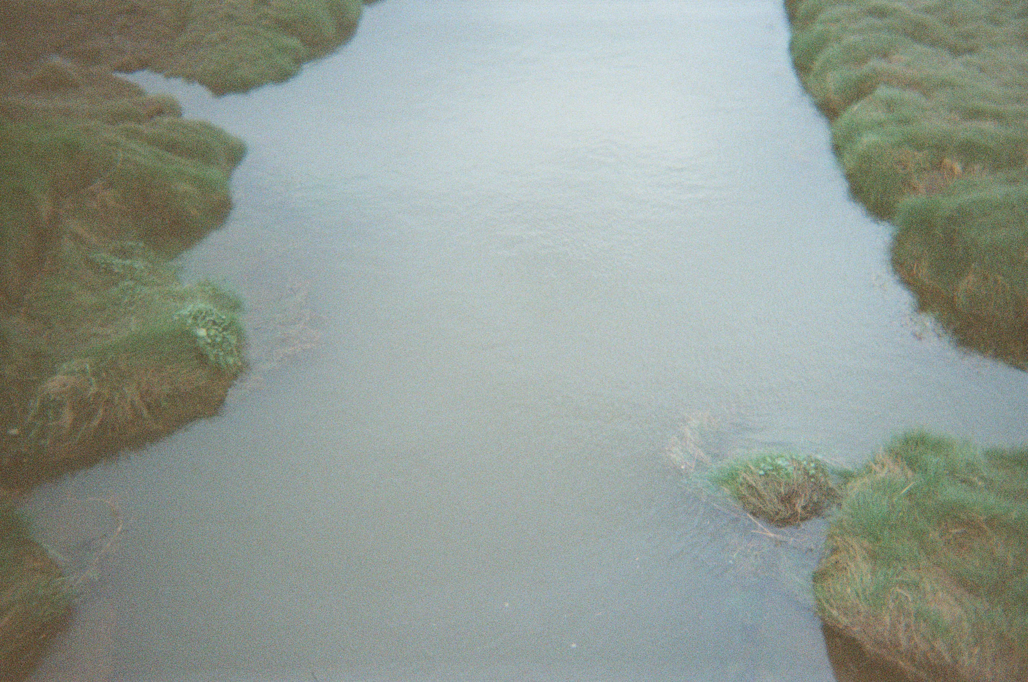 Olympus AF-10 / Kodak Gold 200