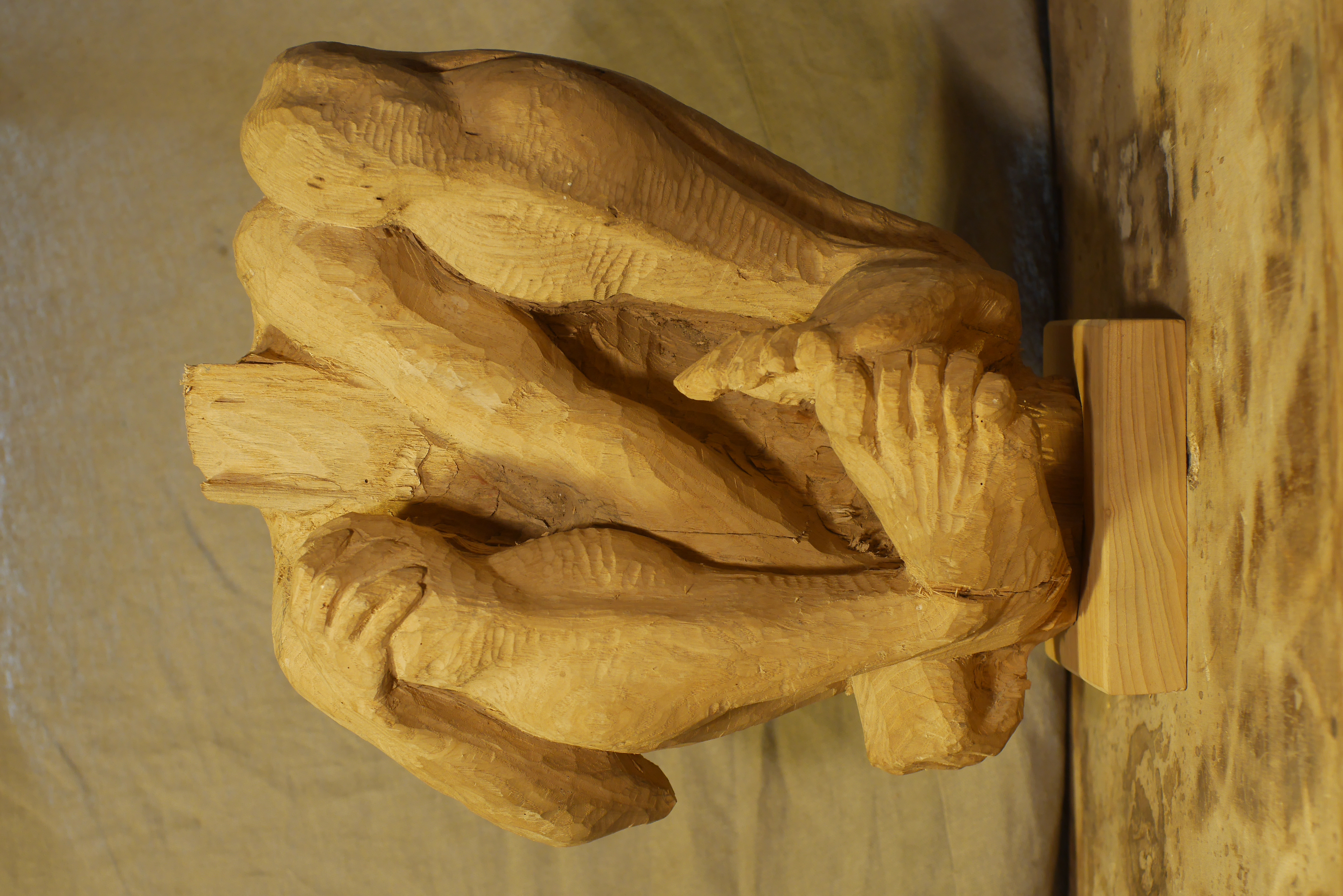 fr&ecirc;ne | h. 45 cm