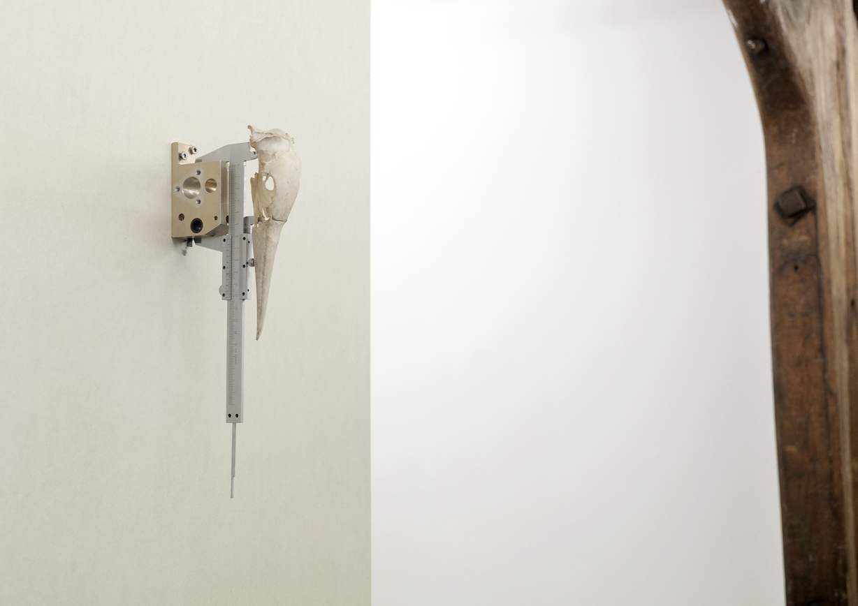 ‘Ascender’ (2024) – Revelation Engine, BLOKK Project Space, Bergen.