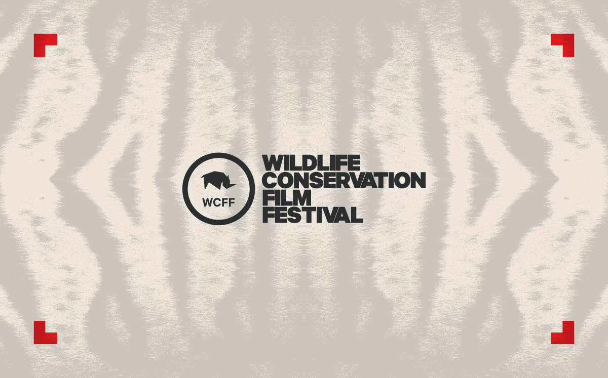 Wildlife Conservation Film Festival - Creative Leader X Brand Storyteller