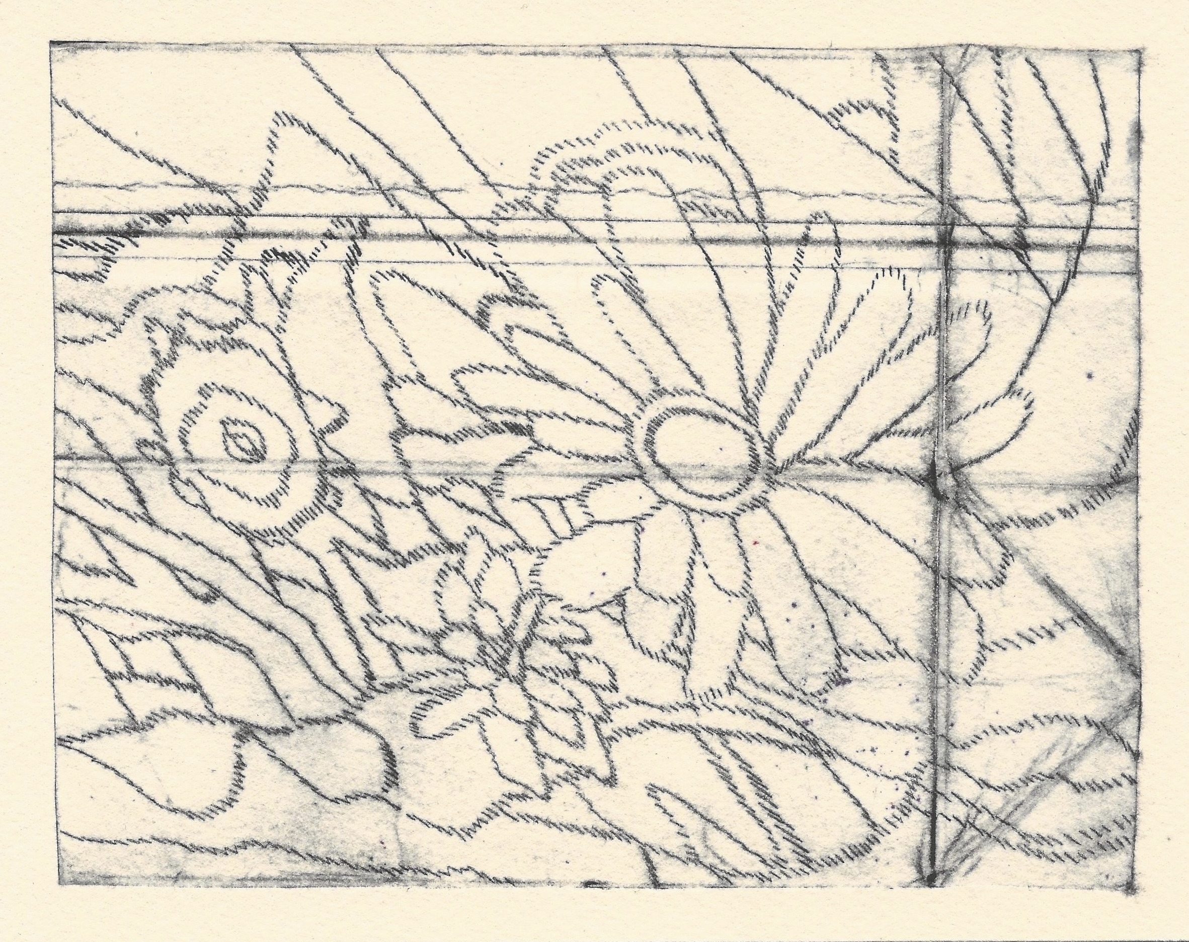 Bunched, drypoint etching on paper