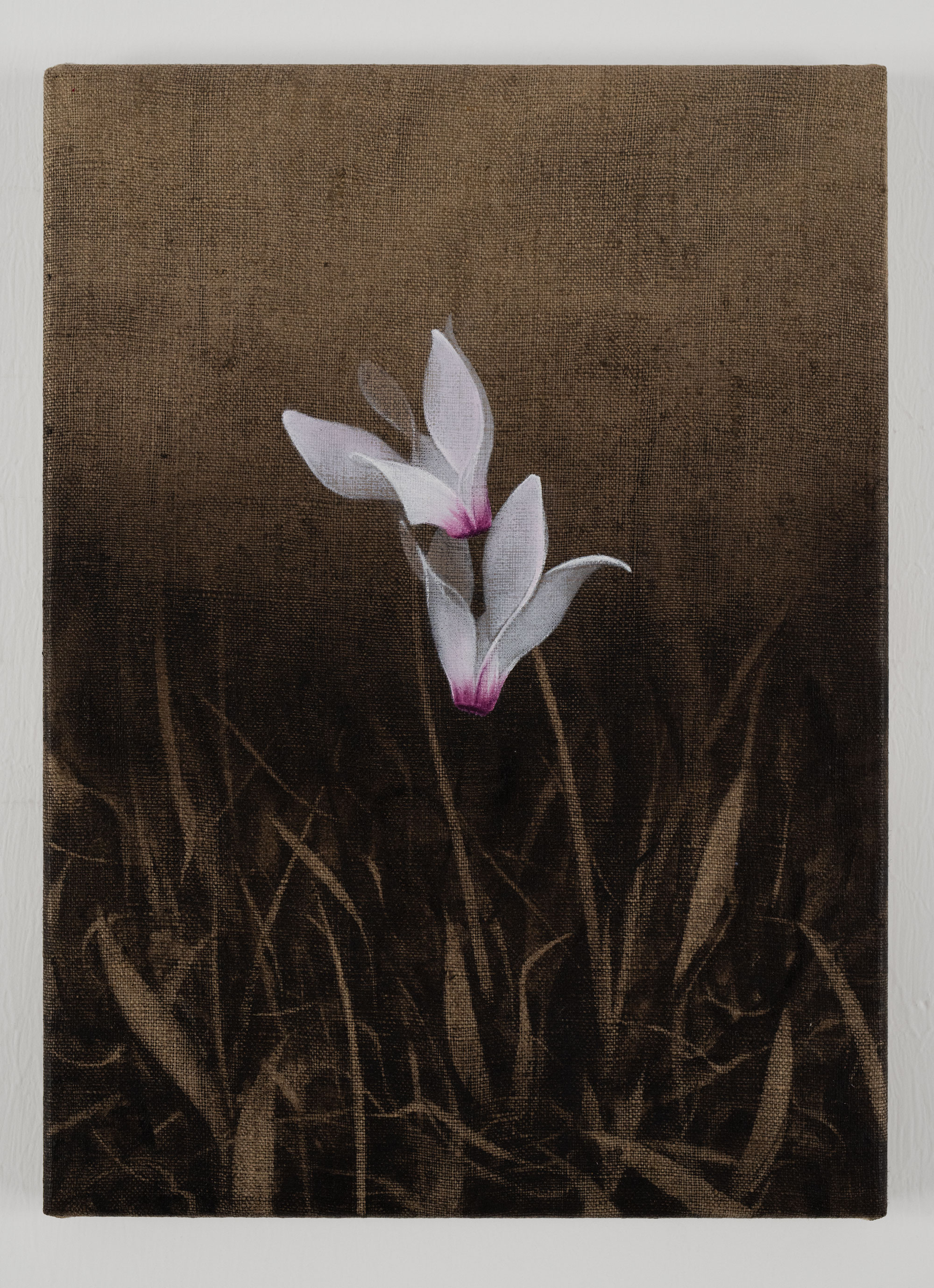 Resistere (ciclamini) 2025, mixed media on linen, 33x24cm