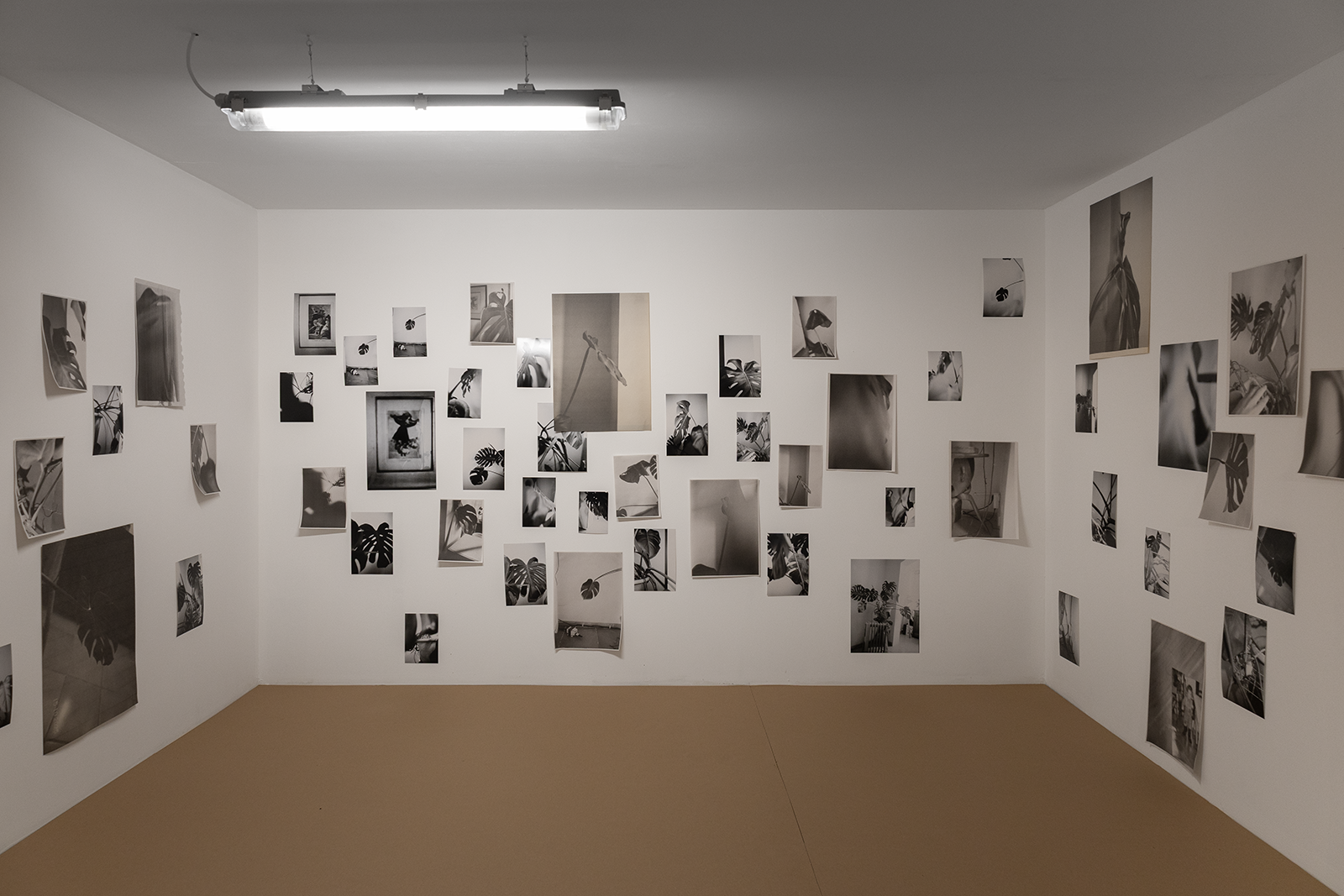 The series "1993&ndash;" is composed by an ongoing number of analog photographs of a Monstera plant that was gifted to the artists mother the day he was born in 1993. This plant is still alive today and growing at his parents house in Mallorca, Spain.