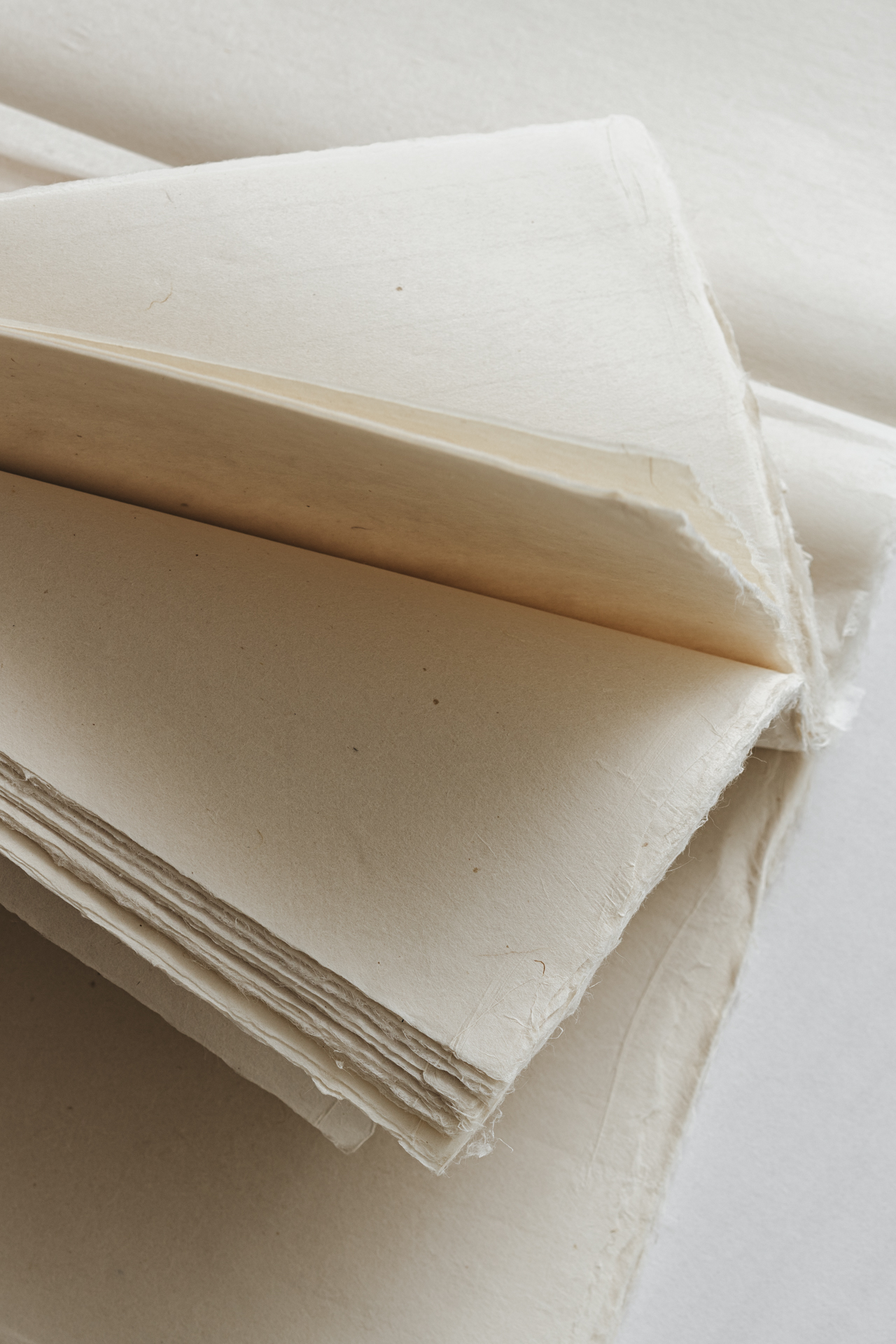 Fenko Conservaion 2019