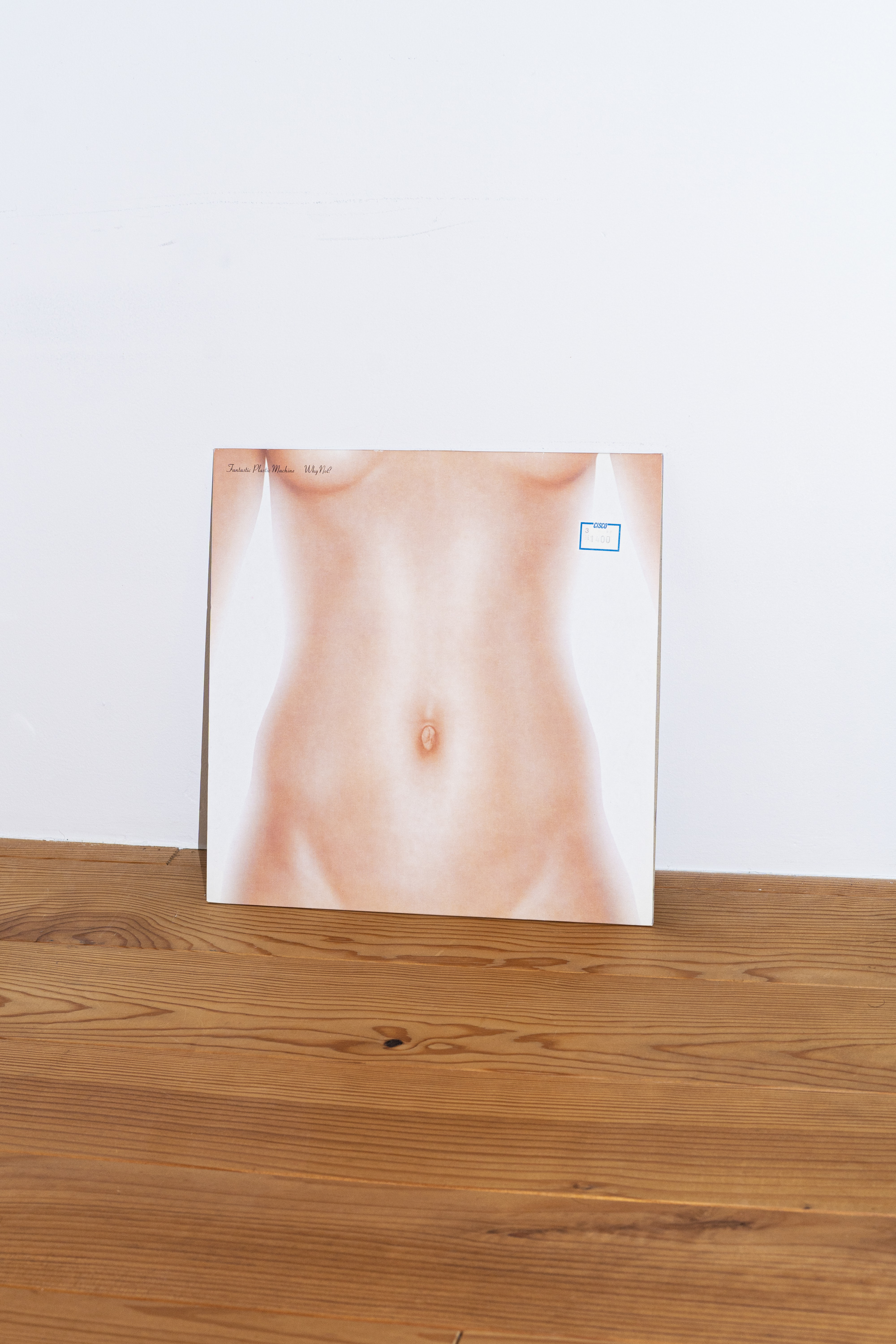 why not? - fantastic plastic machine - 2002