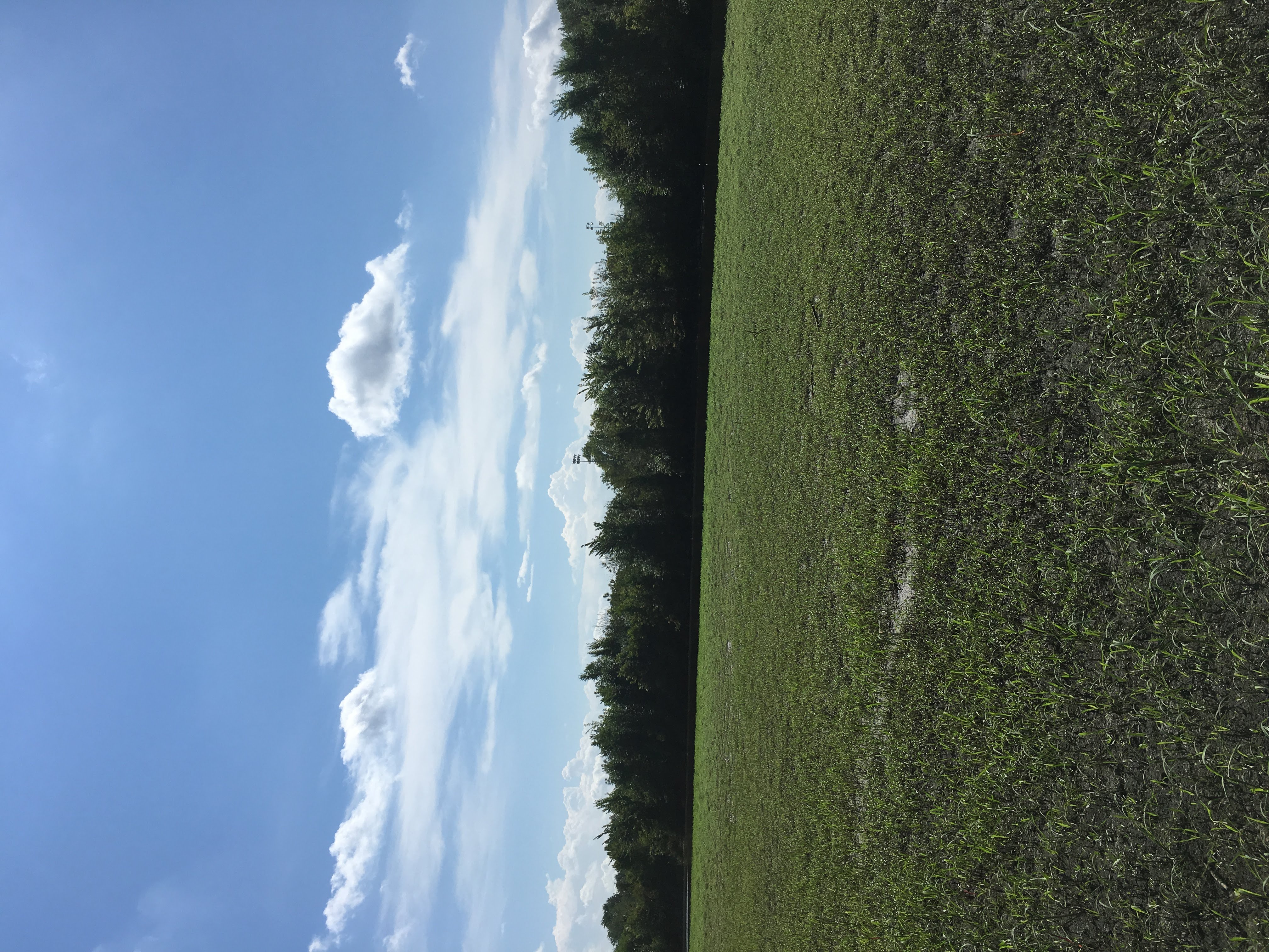 the sun drenched landscape with trees in the distance. There are clouds in the sky, but they are not foreboding. 