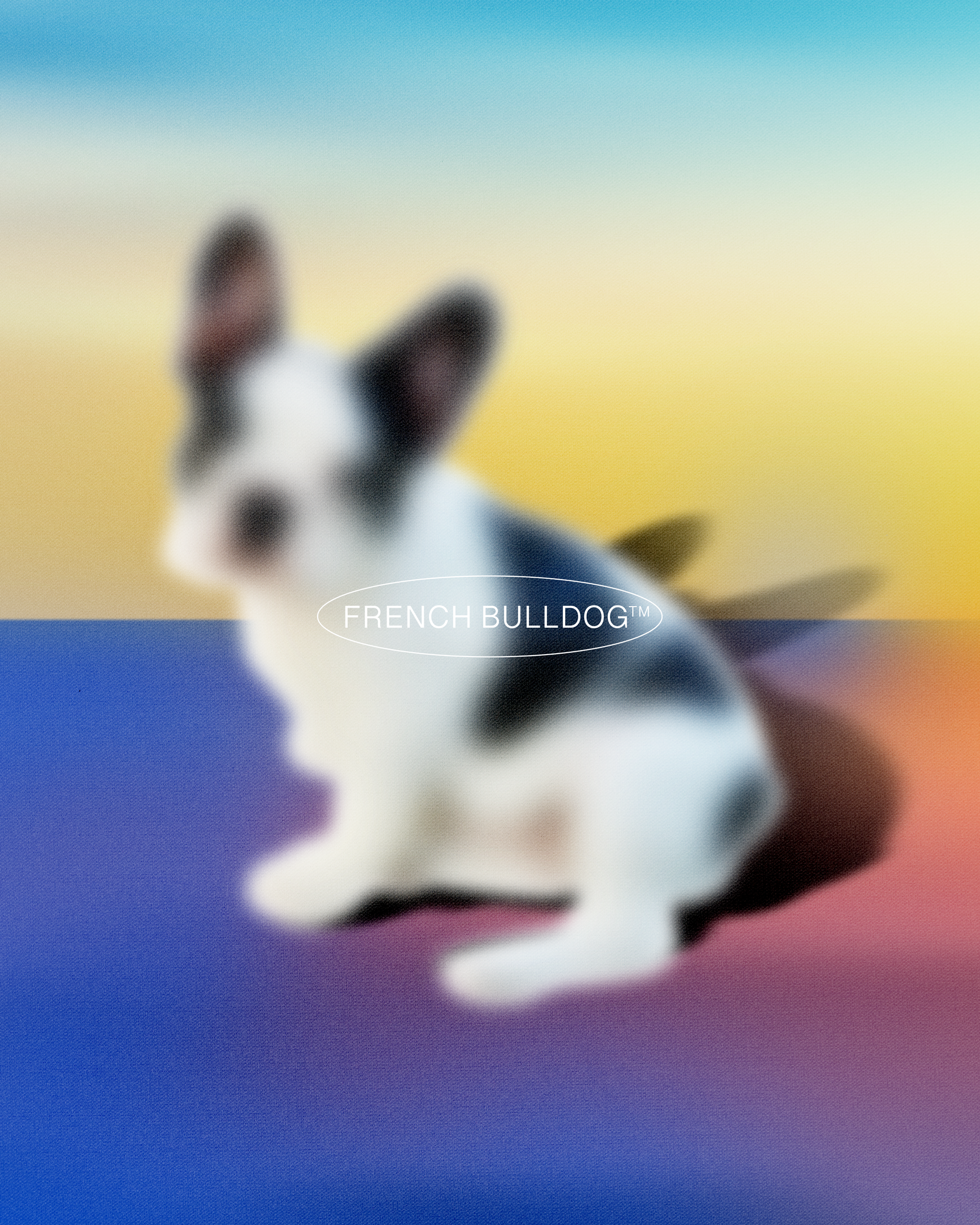 Doggos Collection/French Bulldog ✶2020 