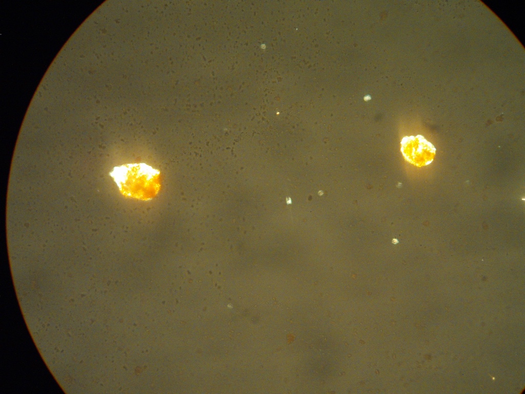 Cuthill Ferrihydrite Digital photograph Cross-Polarised Light (XPL) x1000, Field of view 0.1 mm