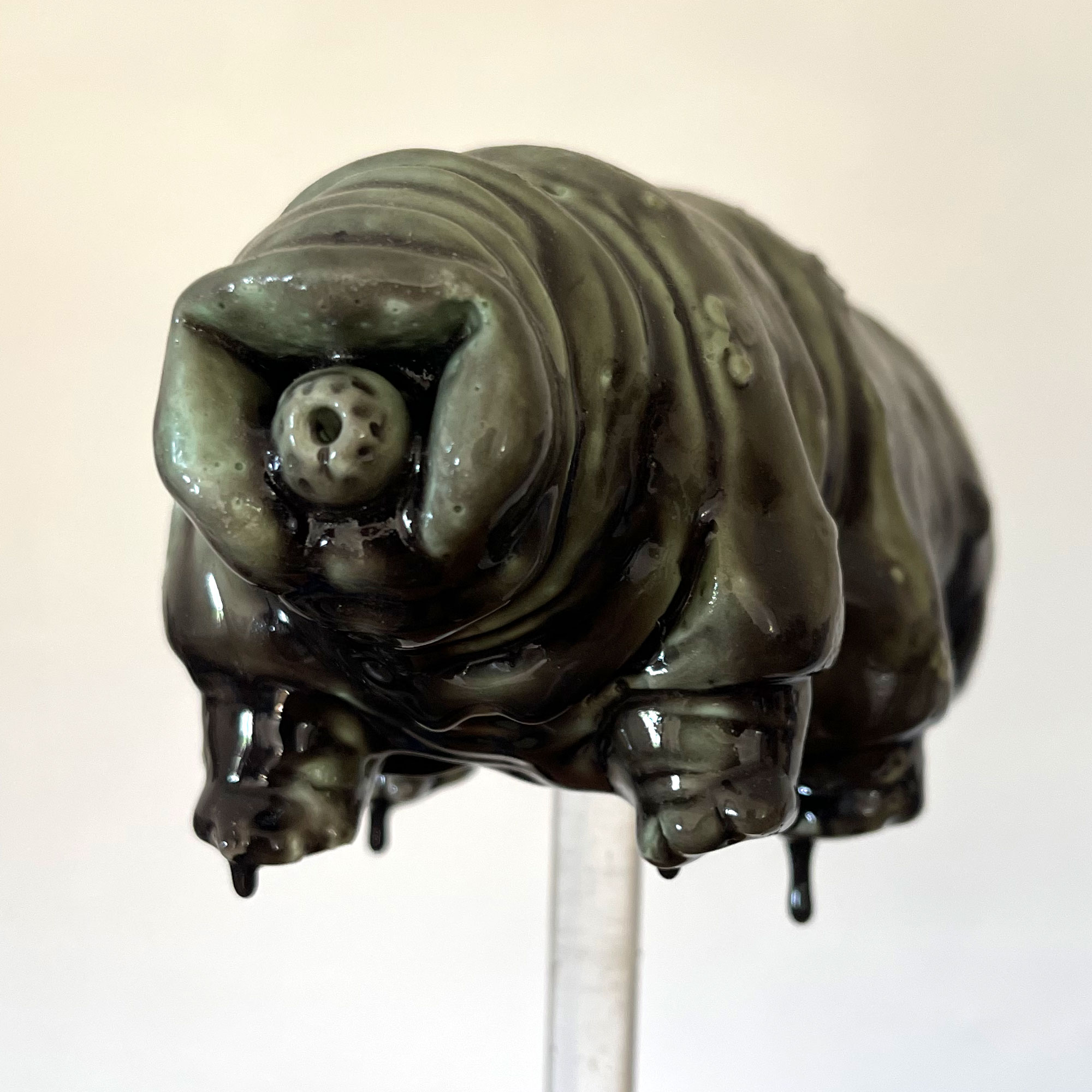 Swamp Tardy, jesmonite, glass wax, wood, perspex, 24.5 x 17 x 9 cm