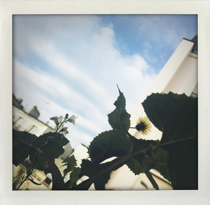 17 Avril 2020 17 Avril