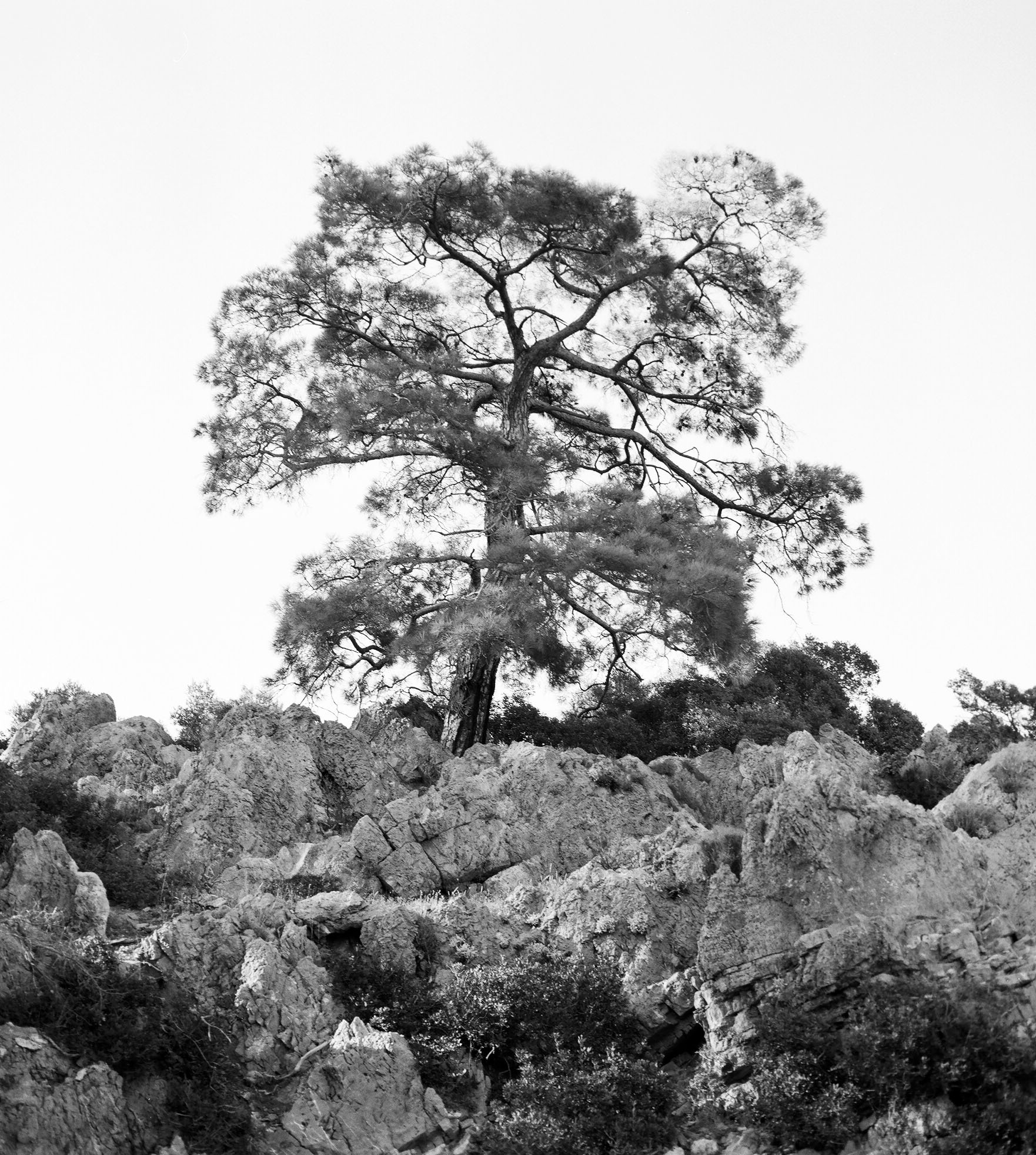 Maljut 2013gelatin silver print on Baryt papercm 160 x 120  and 30 x 40