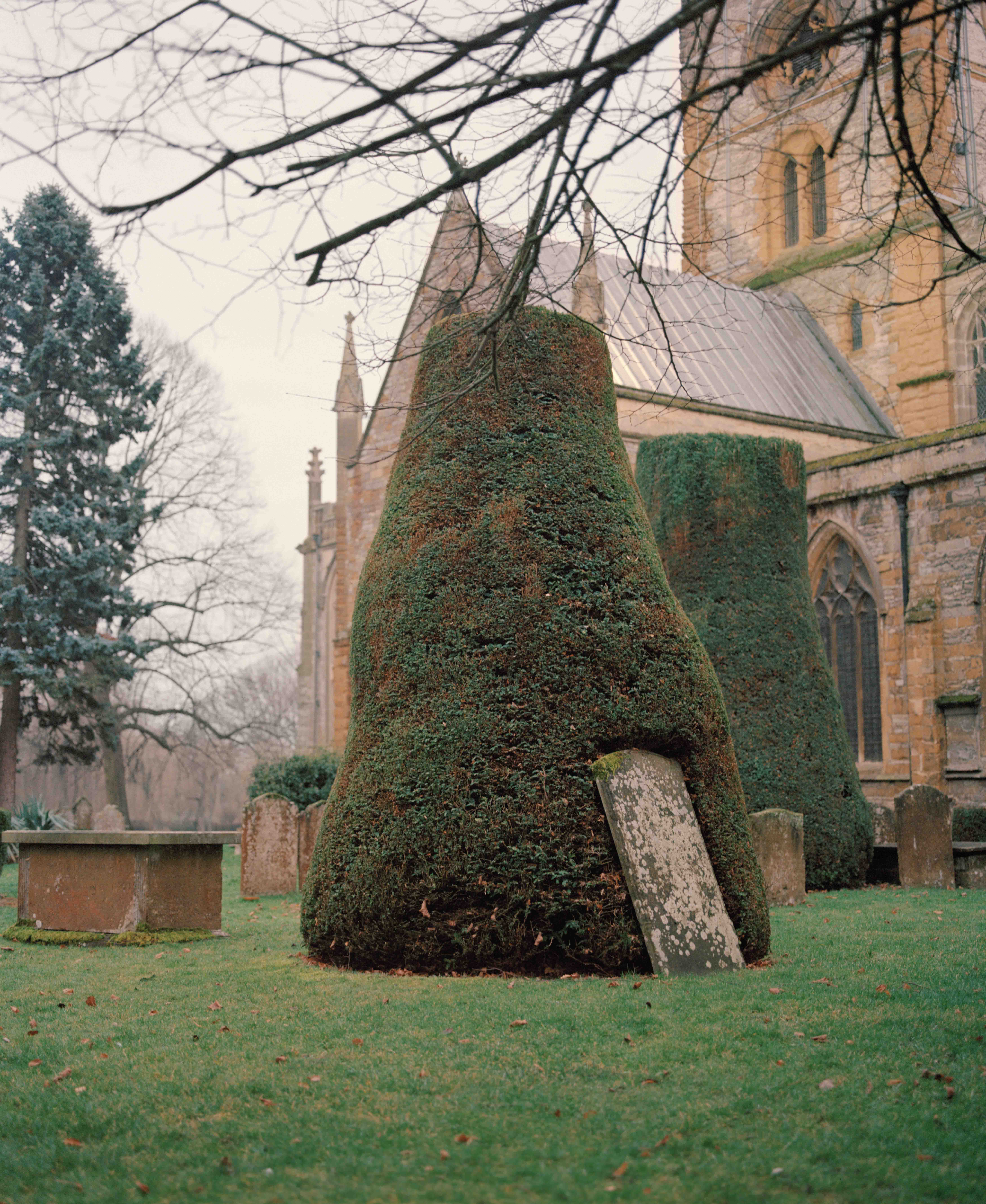 Sometimes A Silence Will Cut Through Sounds