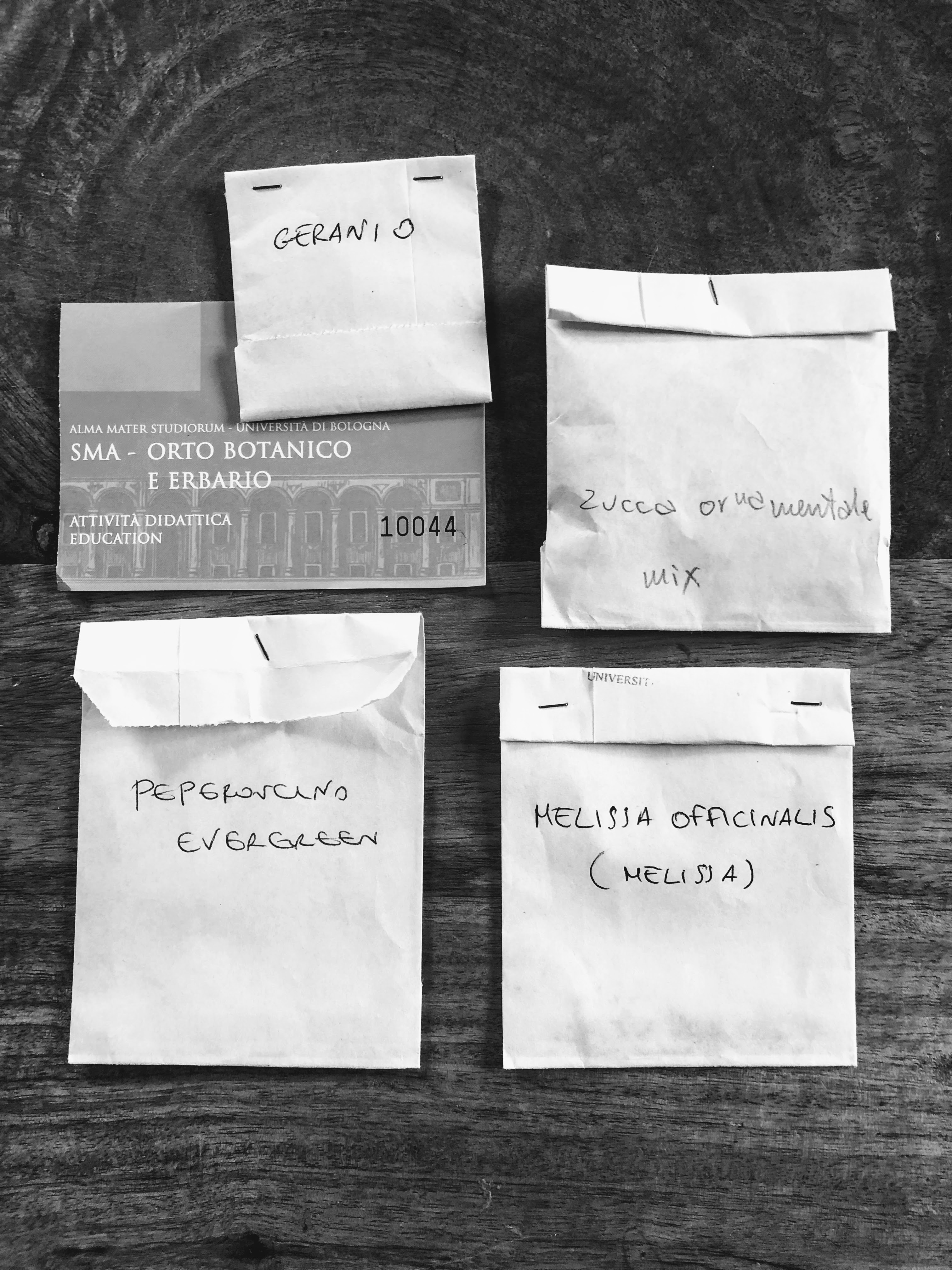 Semi, Orto Botanico, Bologna, 21-3-18