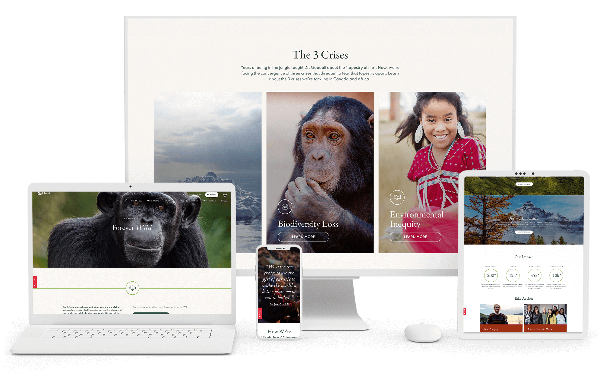 Multiple page designs on laptop, table, mobile, and desktop.