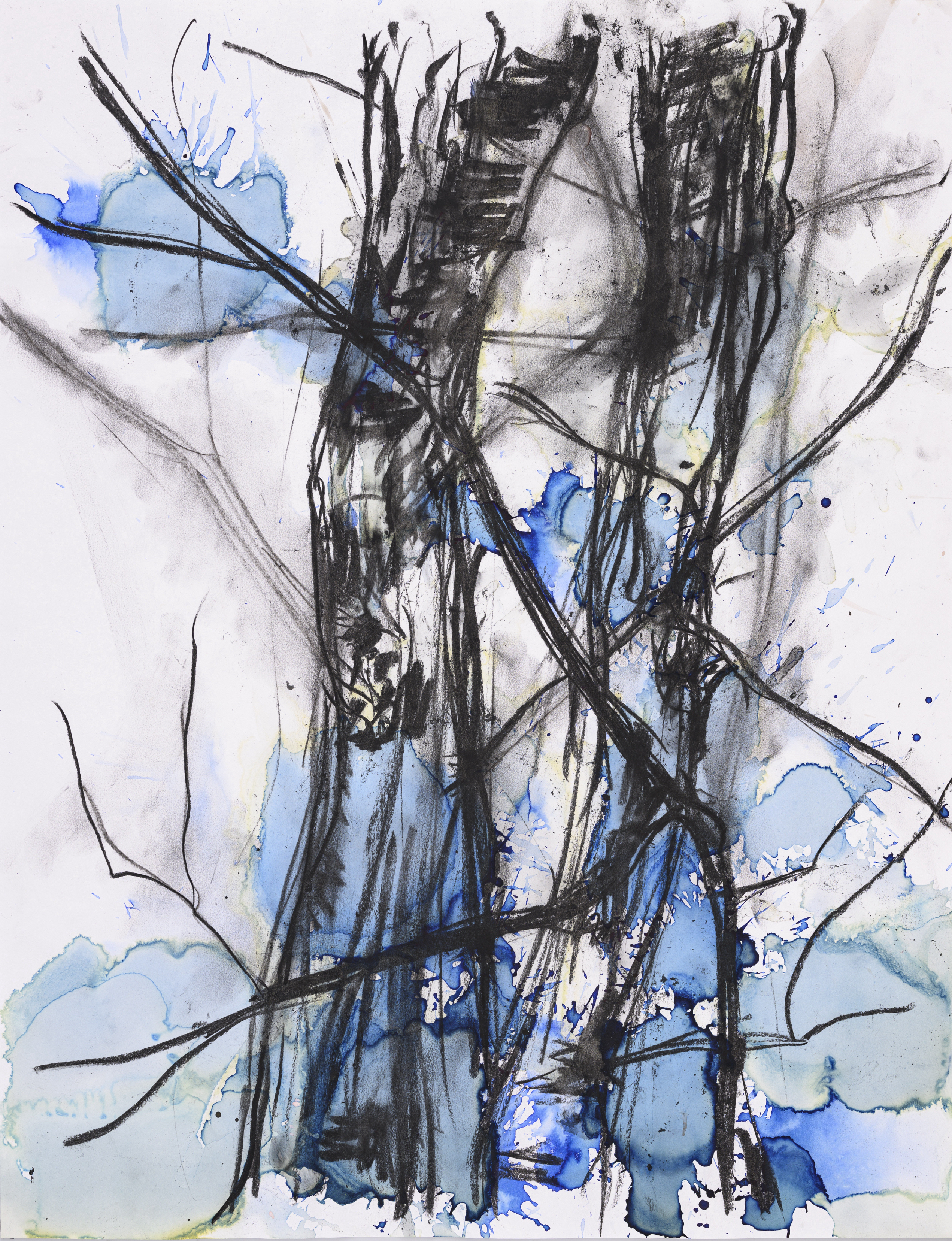 Study of nature 2057Acrylic on paper 65×50cm