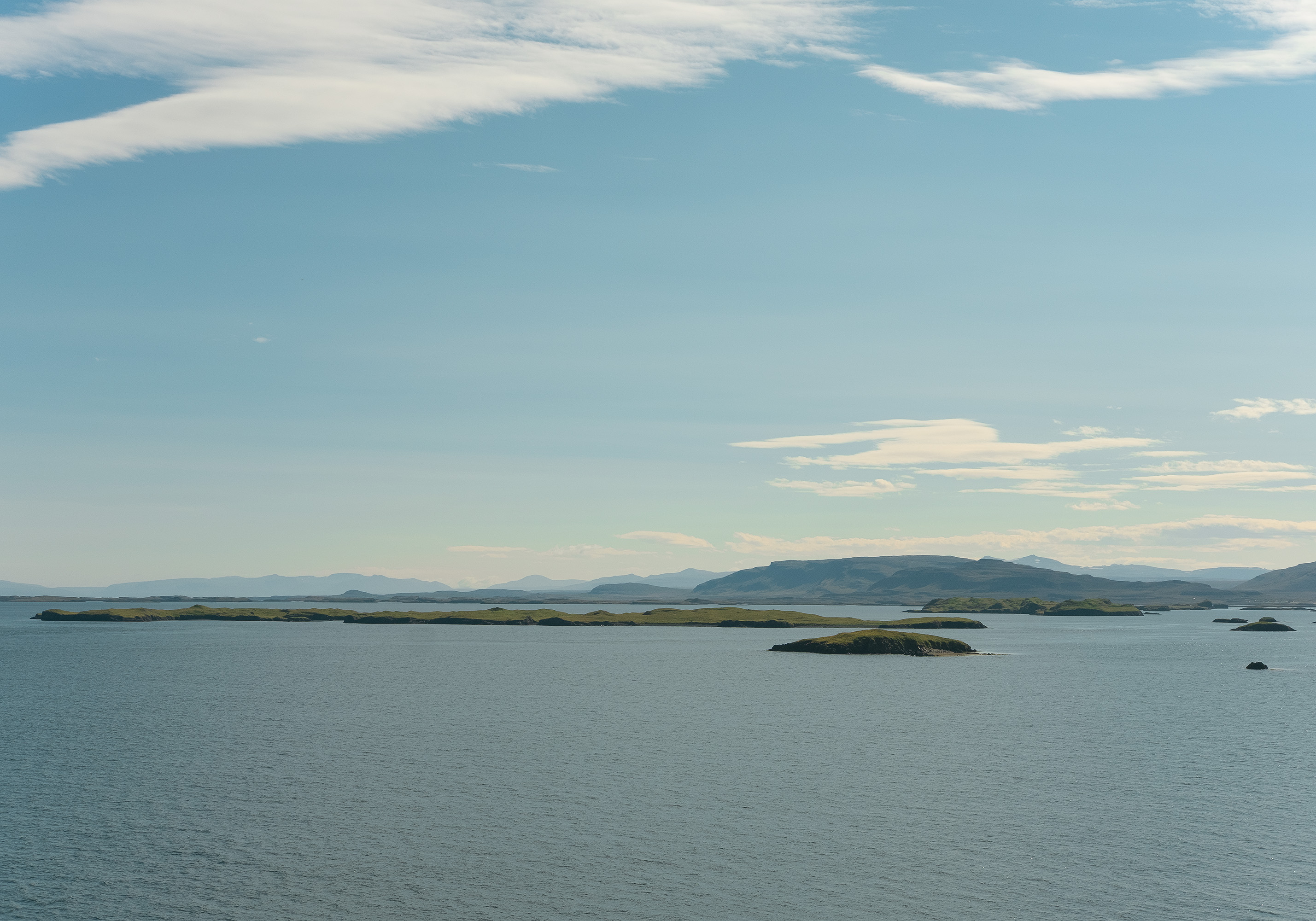 Domingo Nardulli TIFF