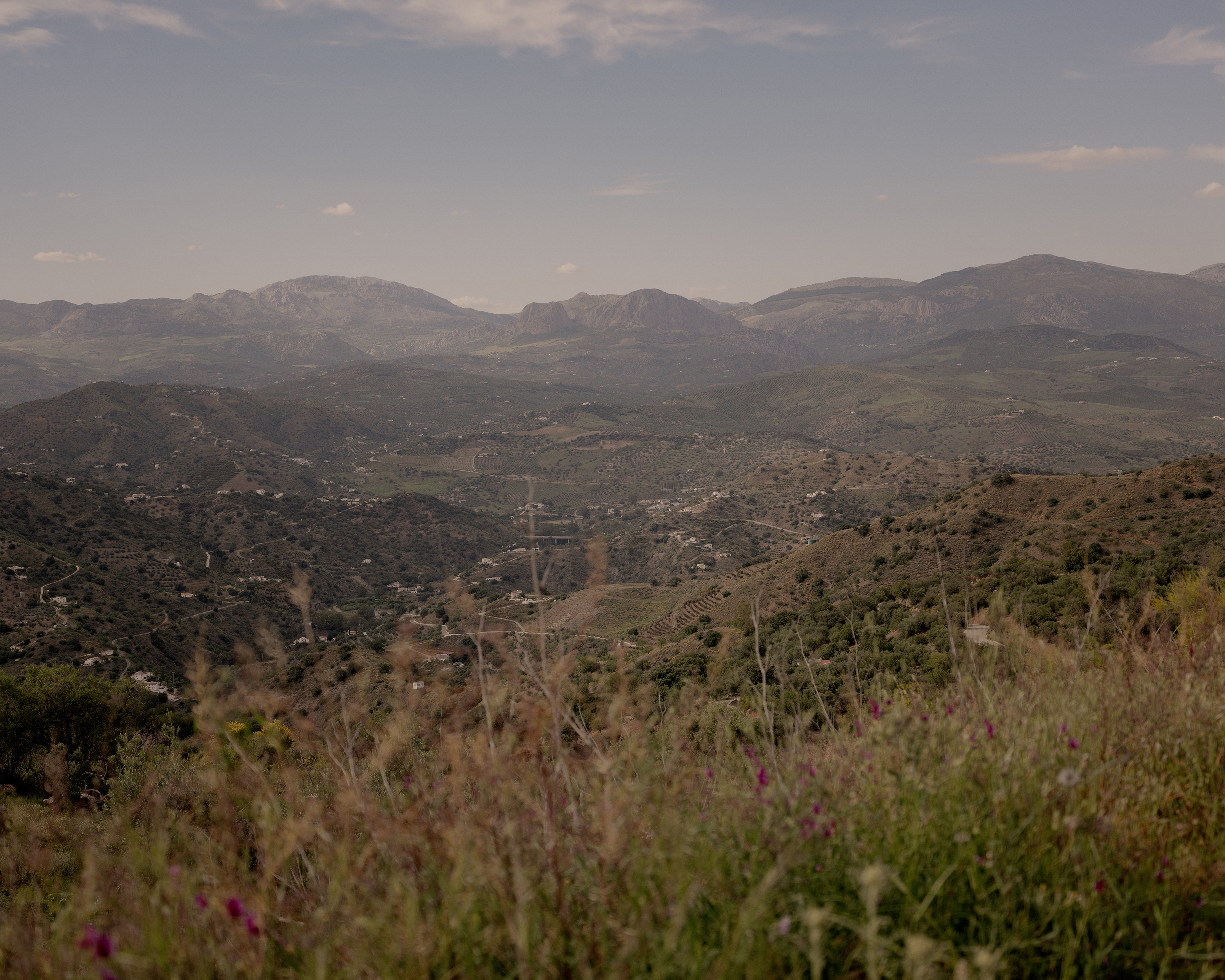 View from the backseat I