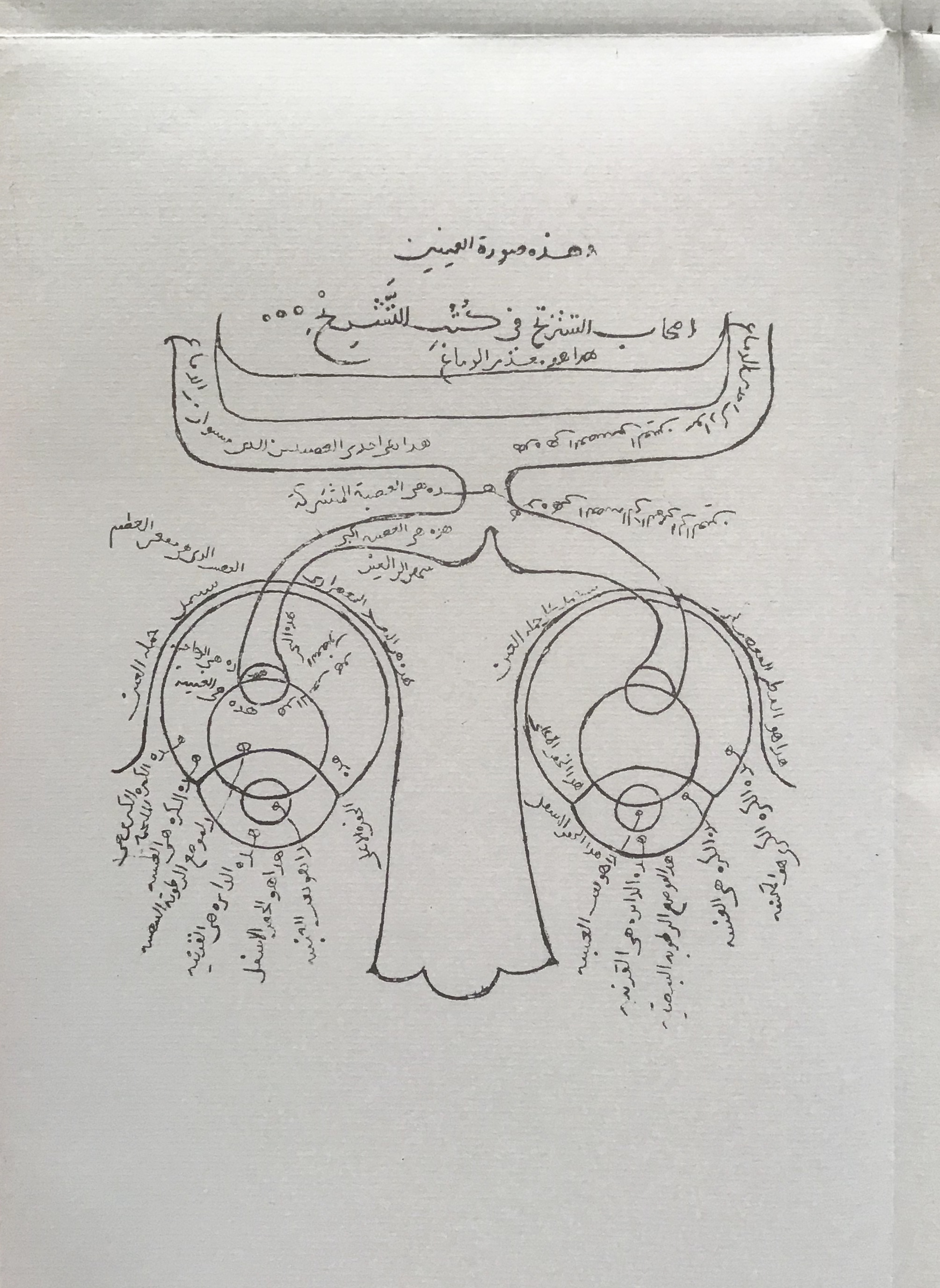 Diagram of the eye and the related nerves, from Kitab al-Manazir (Book of Optics), by scientist Ibn al-Haytham, 965-1040 AD.