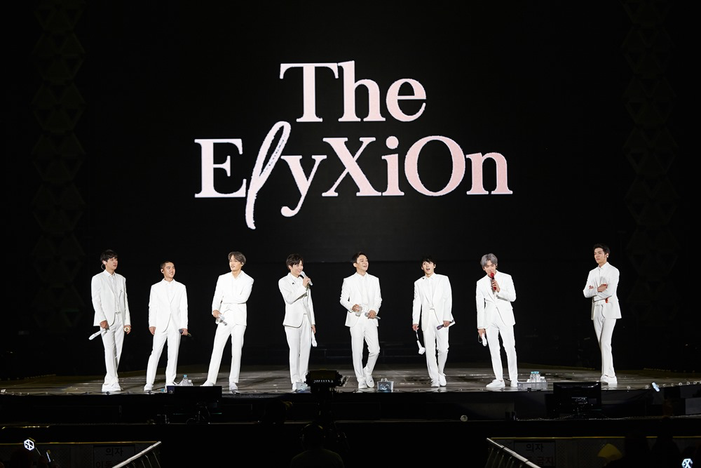 The ElyXiOn - graey