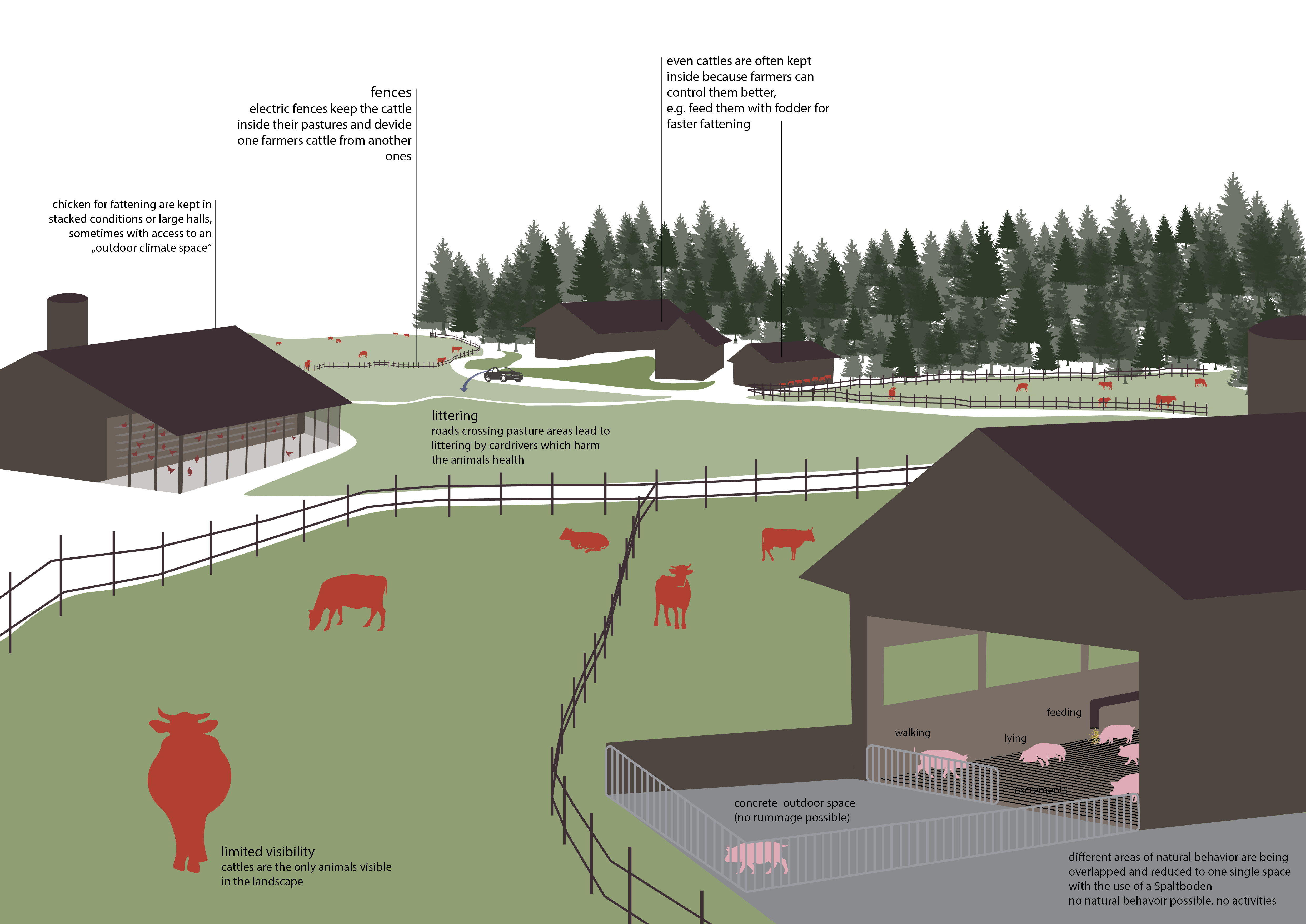 Before: invisibility of livestock, overlapping of natural behavior areas in order to increase efficiency.
