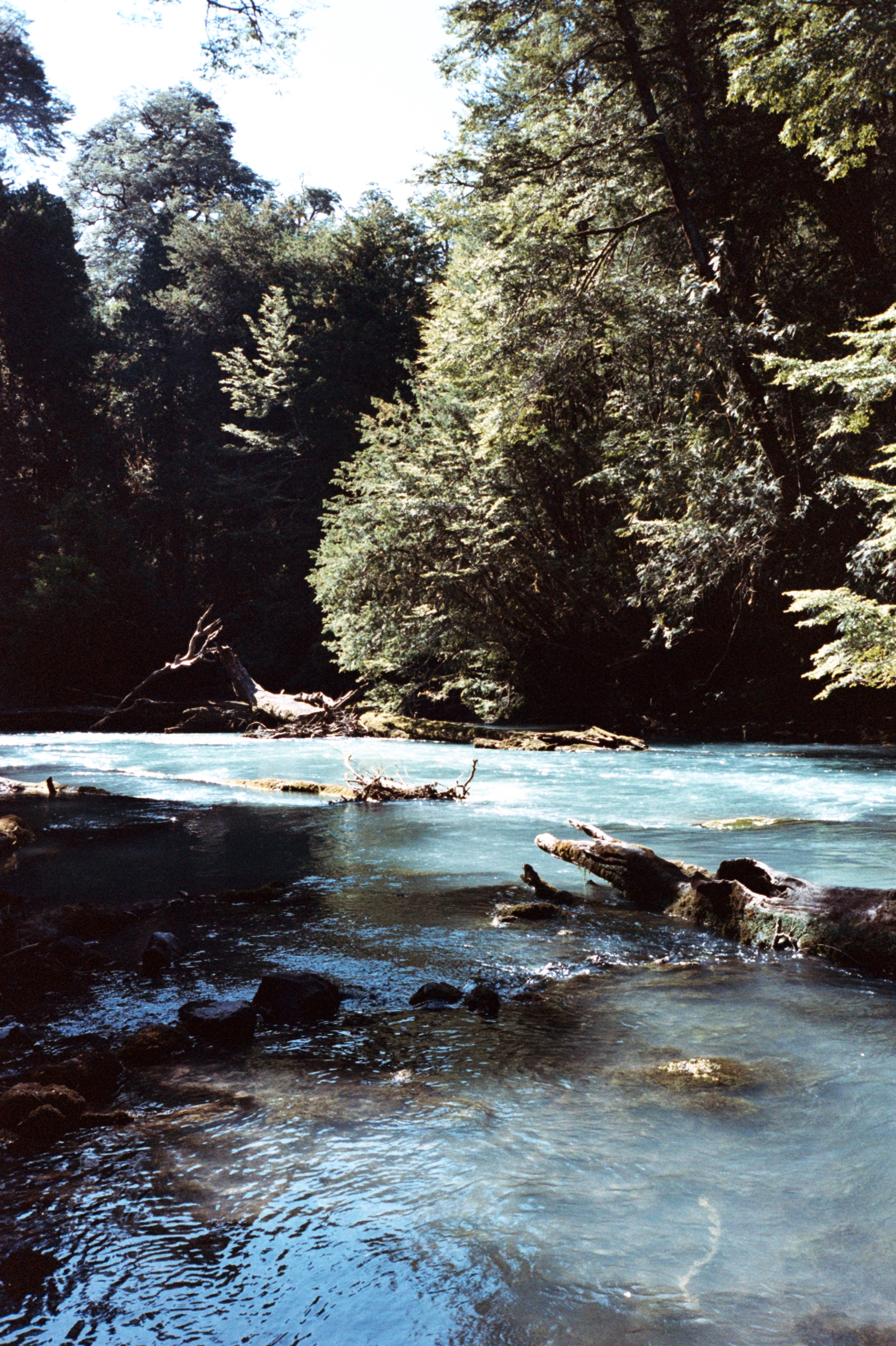 Patagonia, Argentina 2020 (35mm)