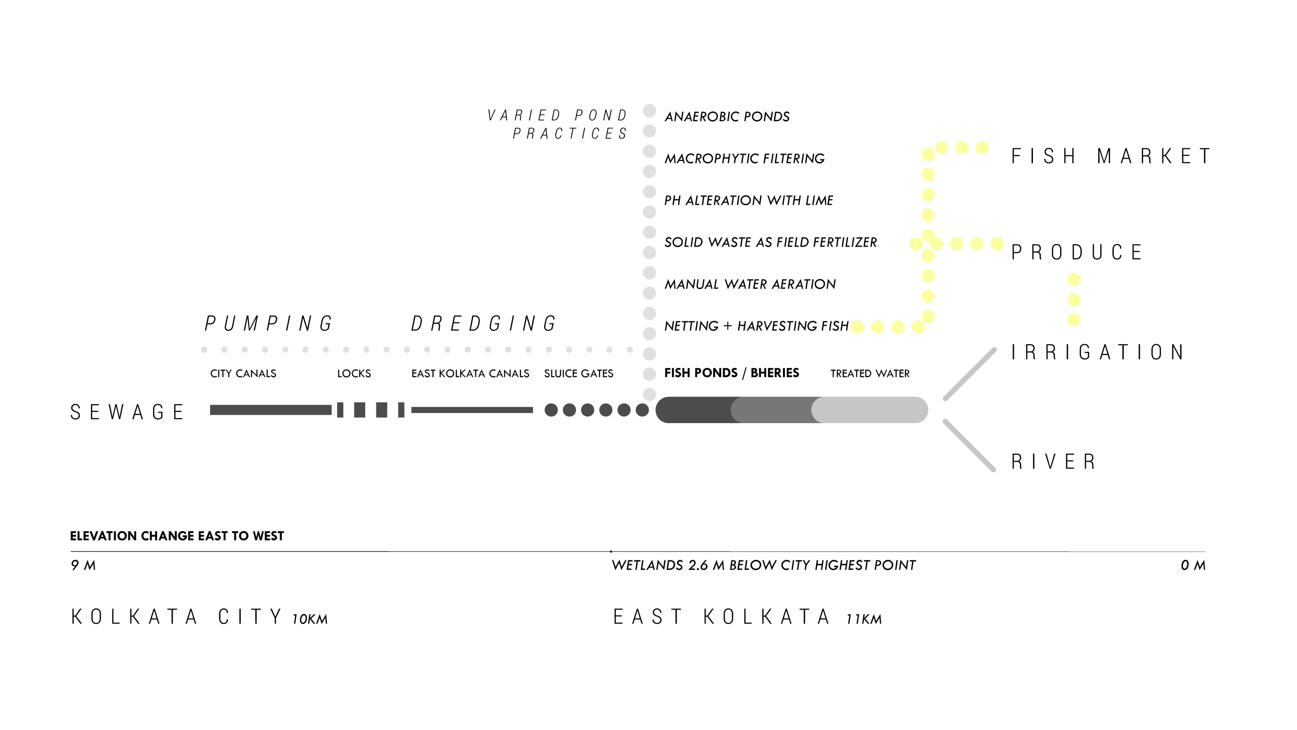 Fig. 23. The path of Kolkata’s wastewater from Kolkata City to and through the East Kolkata Wetlands