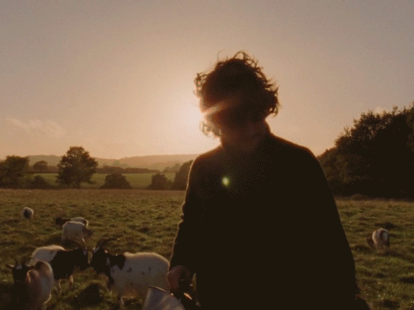 Ffern x Julius Roberts