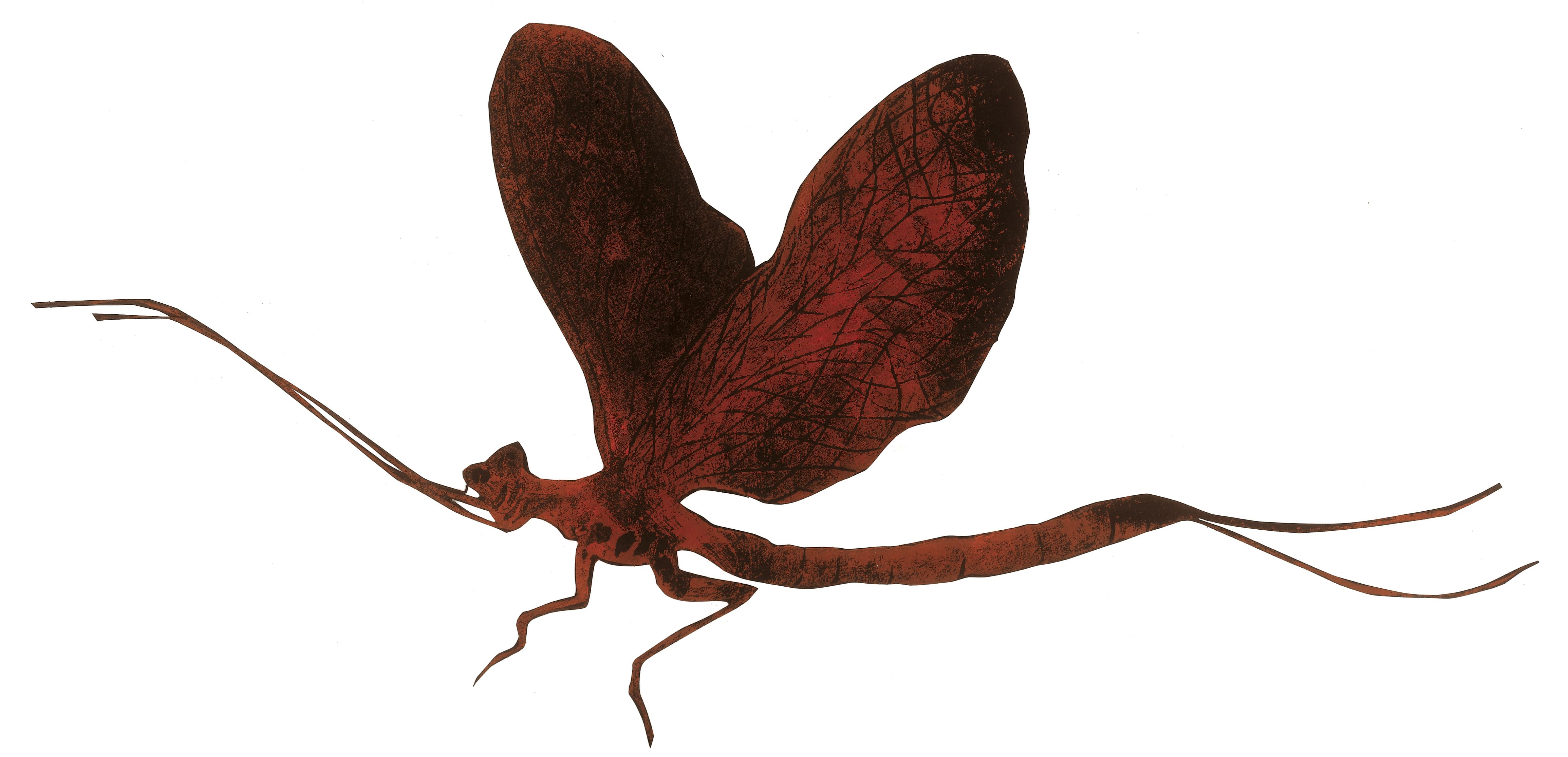 EphemeralLinocut printed in red oil on black paperSerie: Haensel and Gretel/Text: The Brothers GrimmÉditions Être, Publisher: Paris Hinstorff, Rostock, 2007