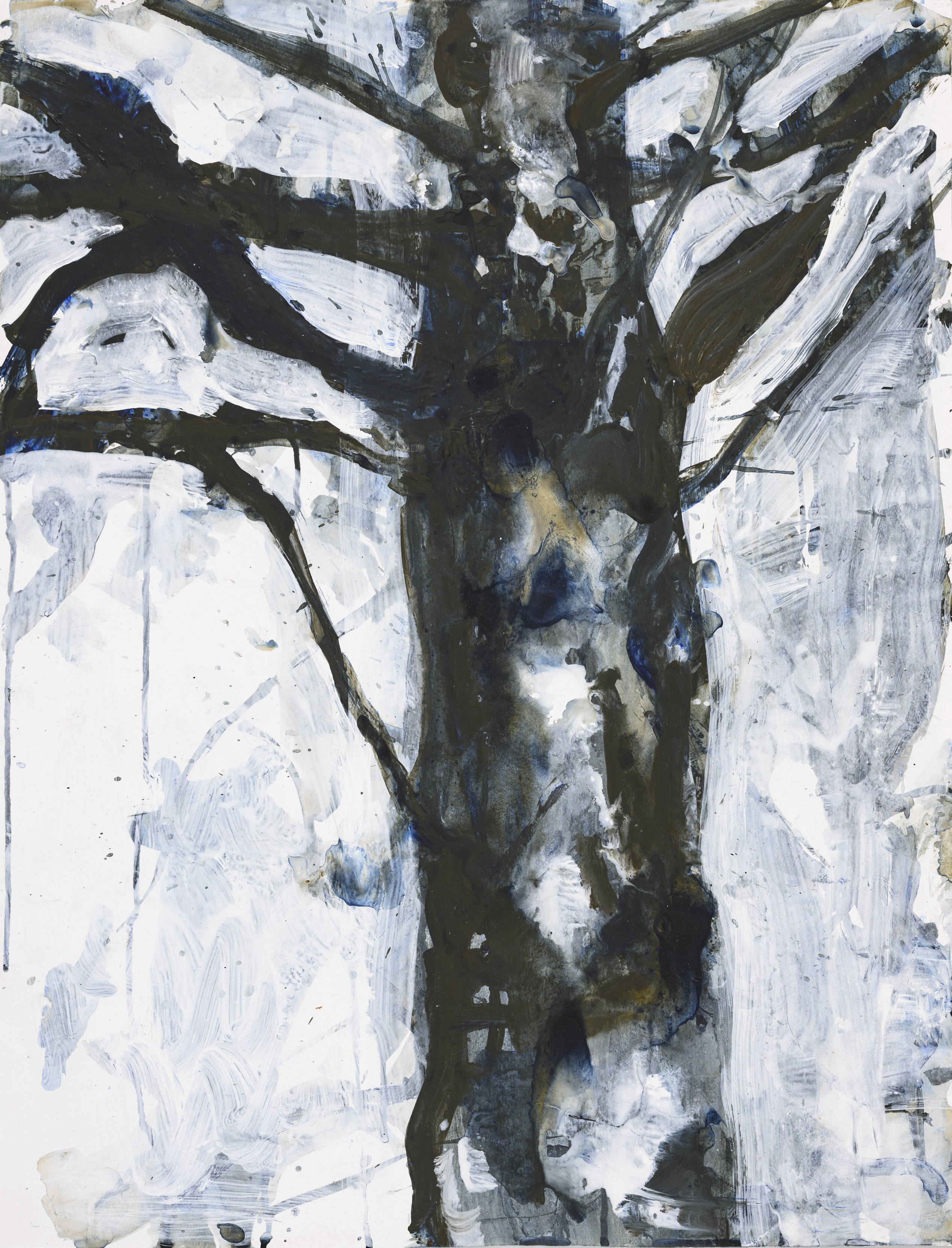 Study of nature 0001Acrylic on paper 65×50cm