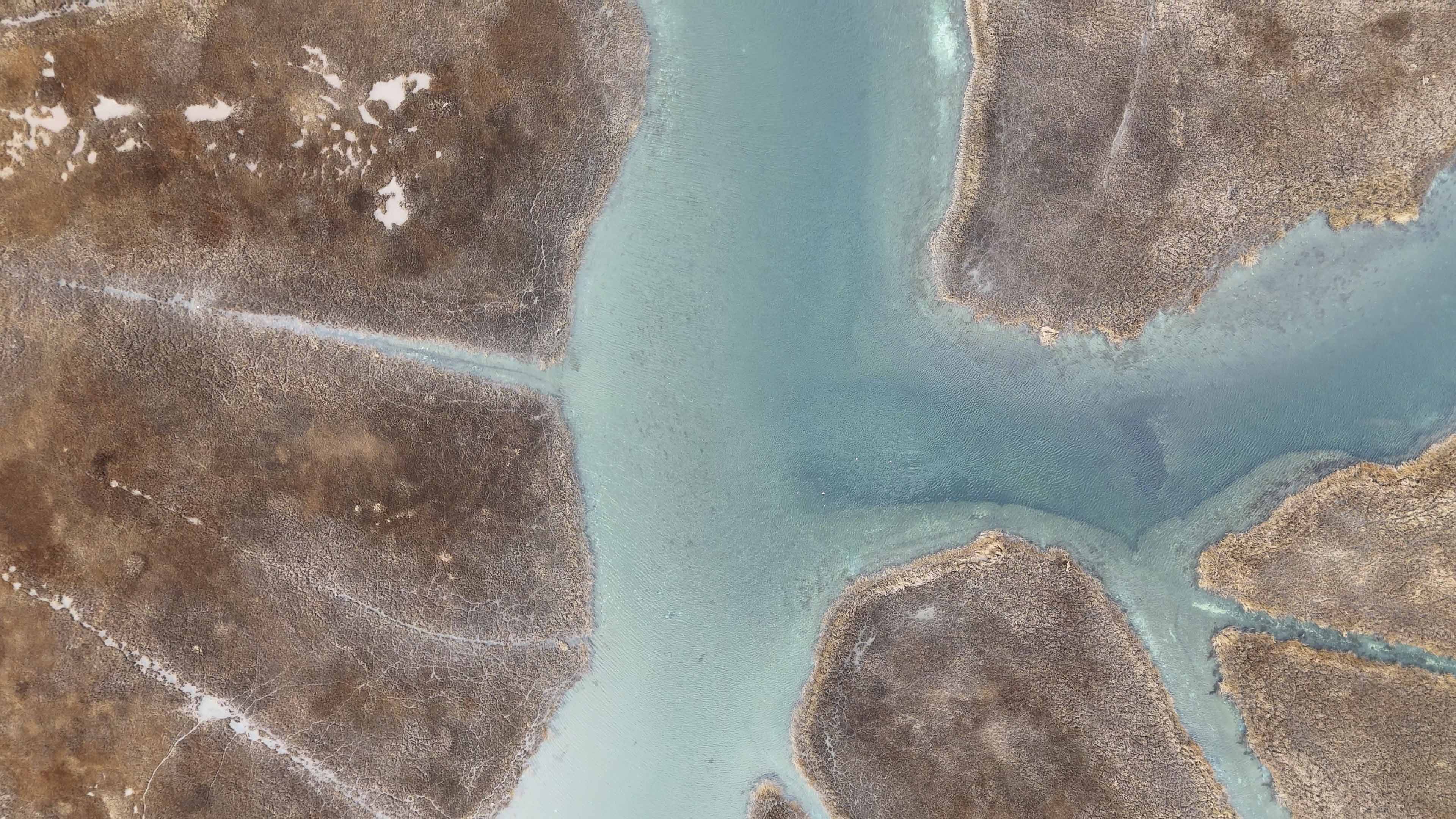 Wolf Swamp Sanctuary, Southampton, NY