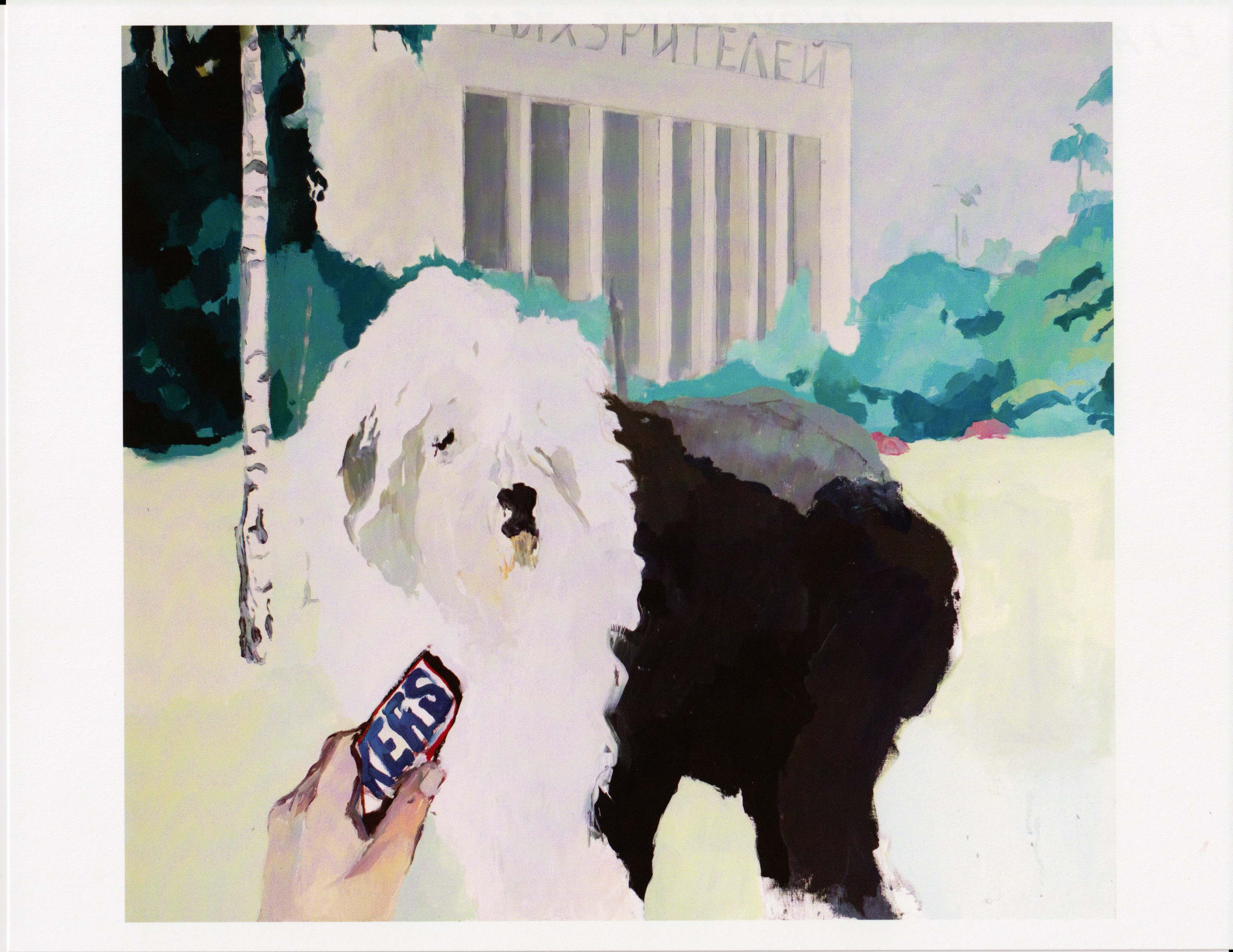 6 Sheepdog