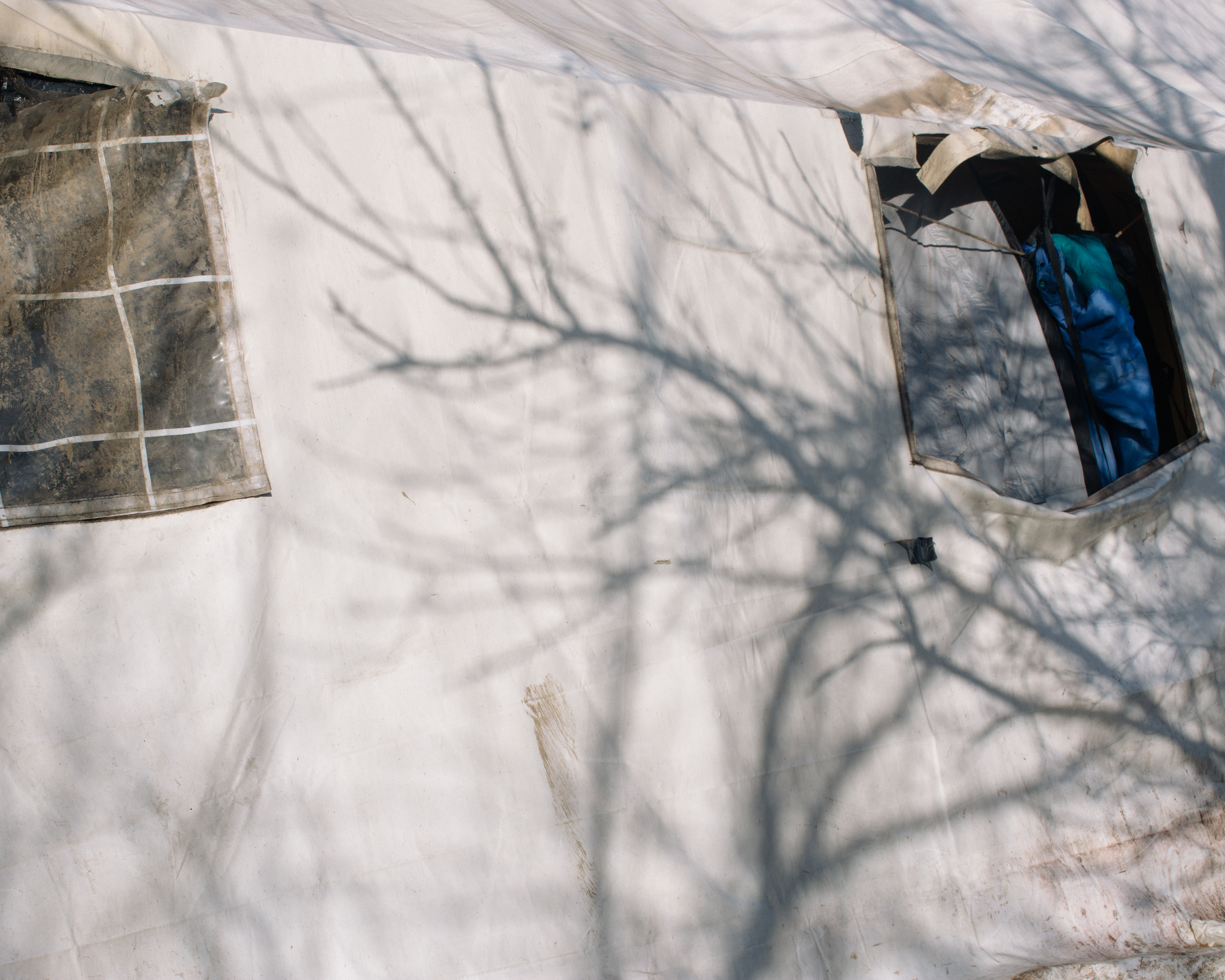 Education, Not Walls